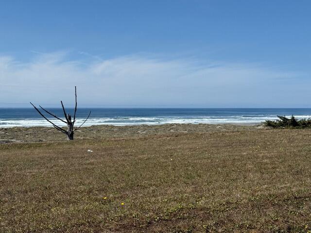Ocean shoreline beyond a grassy coastal lot, with waves and a bare driftwood branch.
