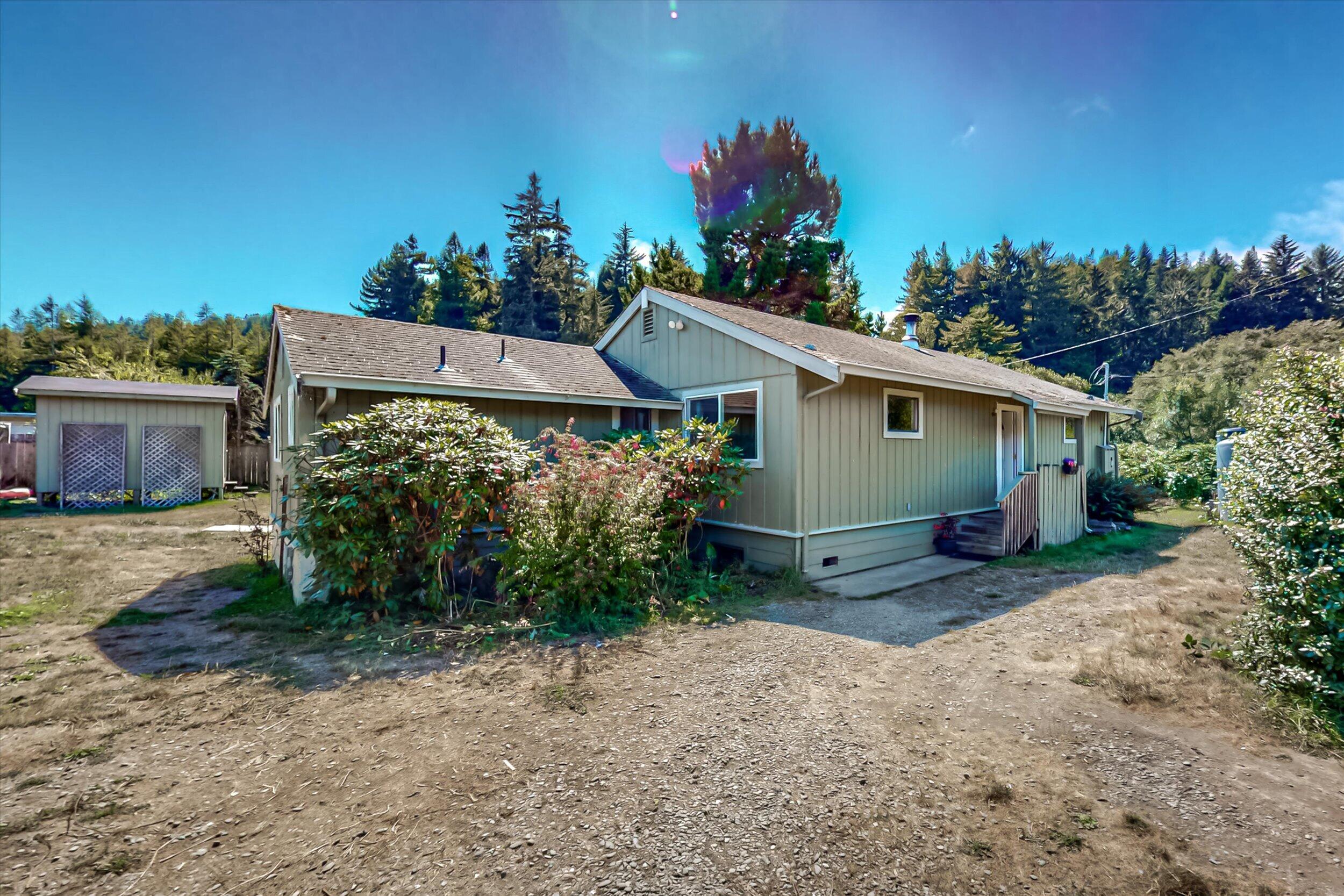 Single-story green-sided home with a small porch, shrubs, detached shed, and evergreen trees behind it.