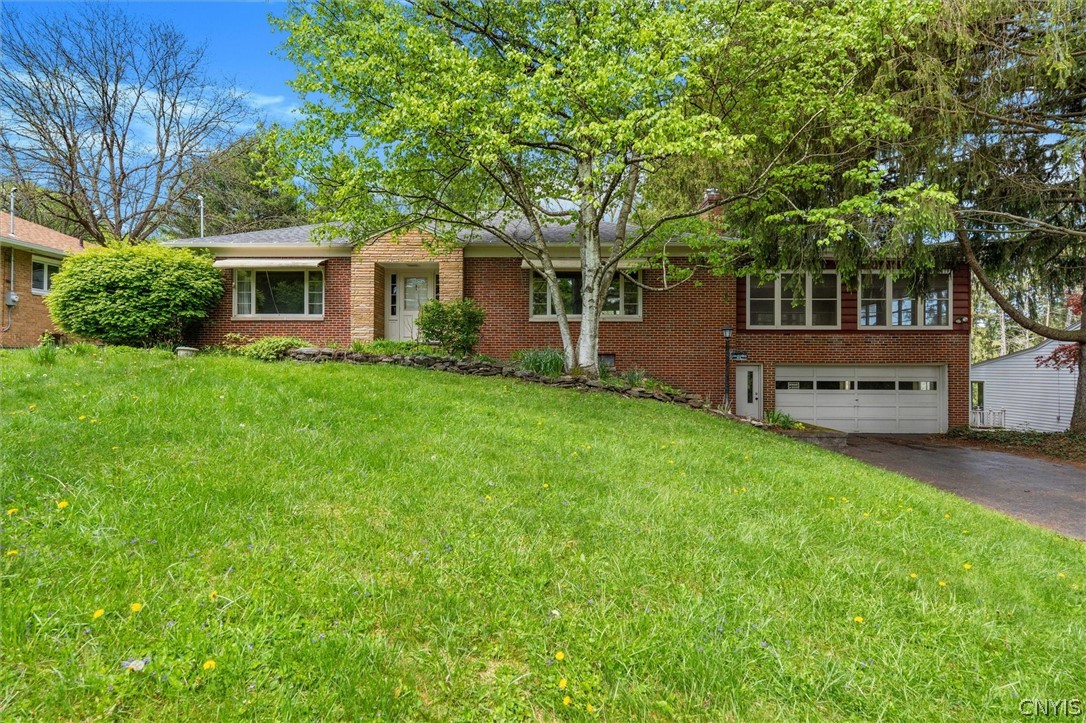 43 Ely Drive