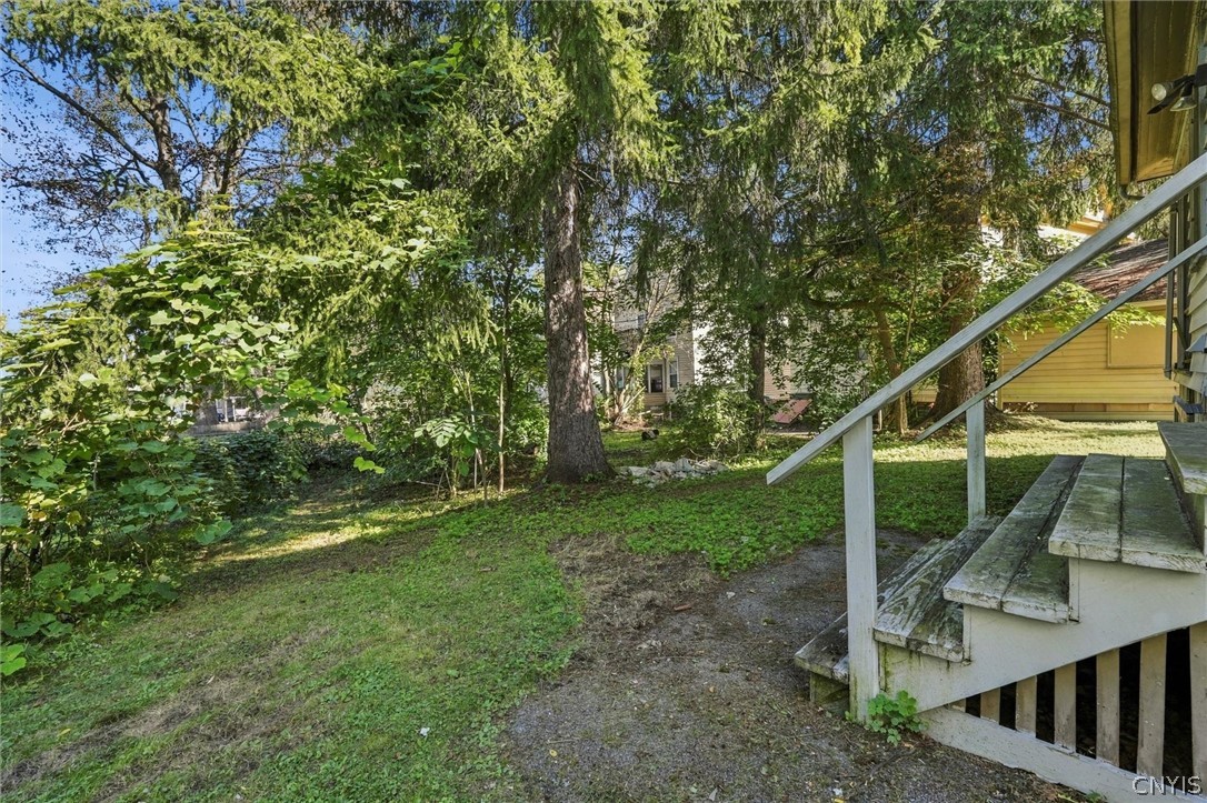 247 Greenwood Place