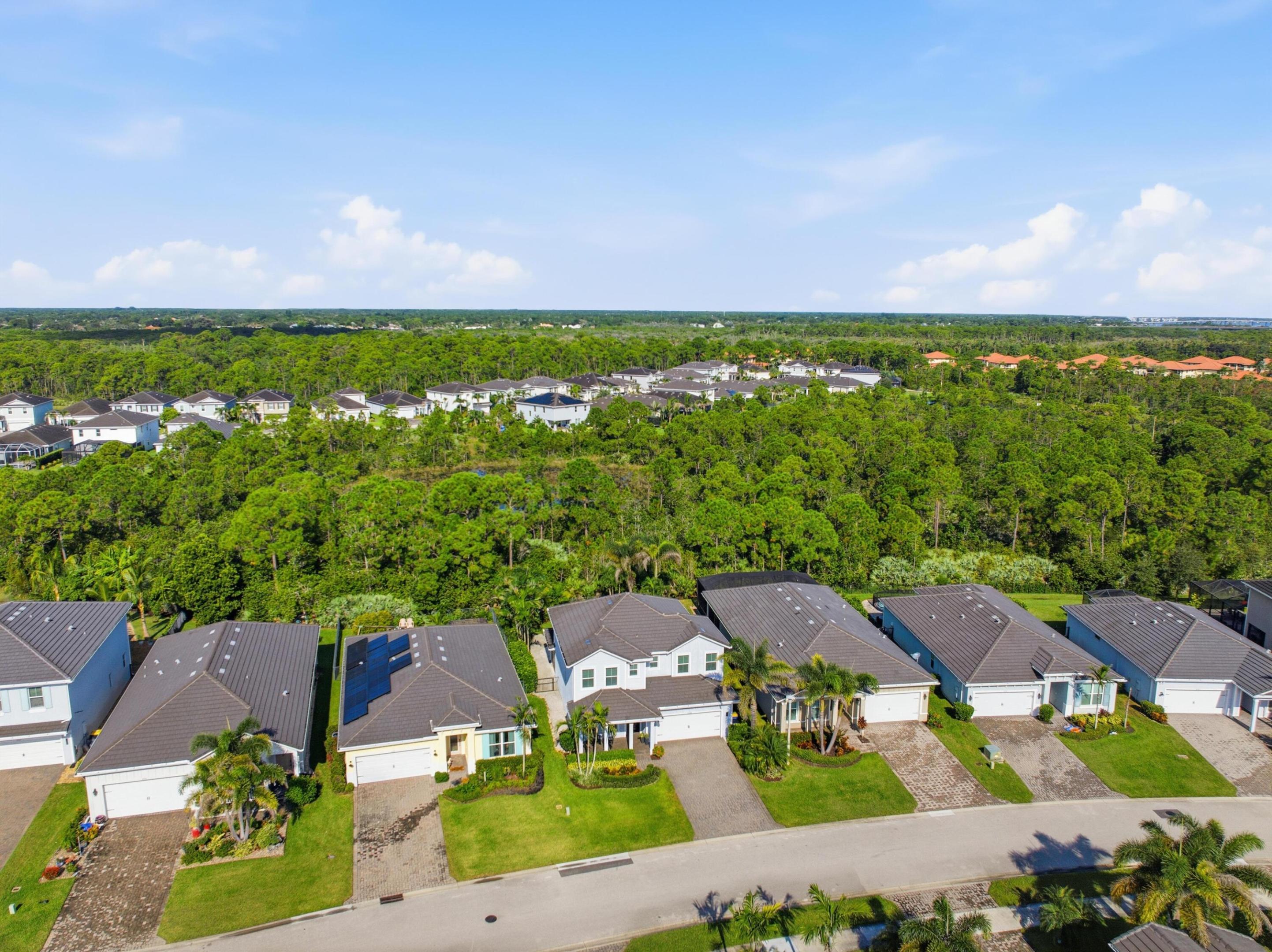 Aerial view of homes along a street, with dense green woodland stretching behind the neighborhood.