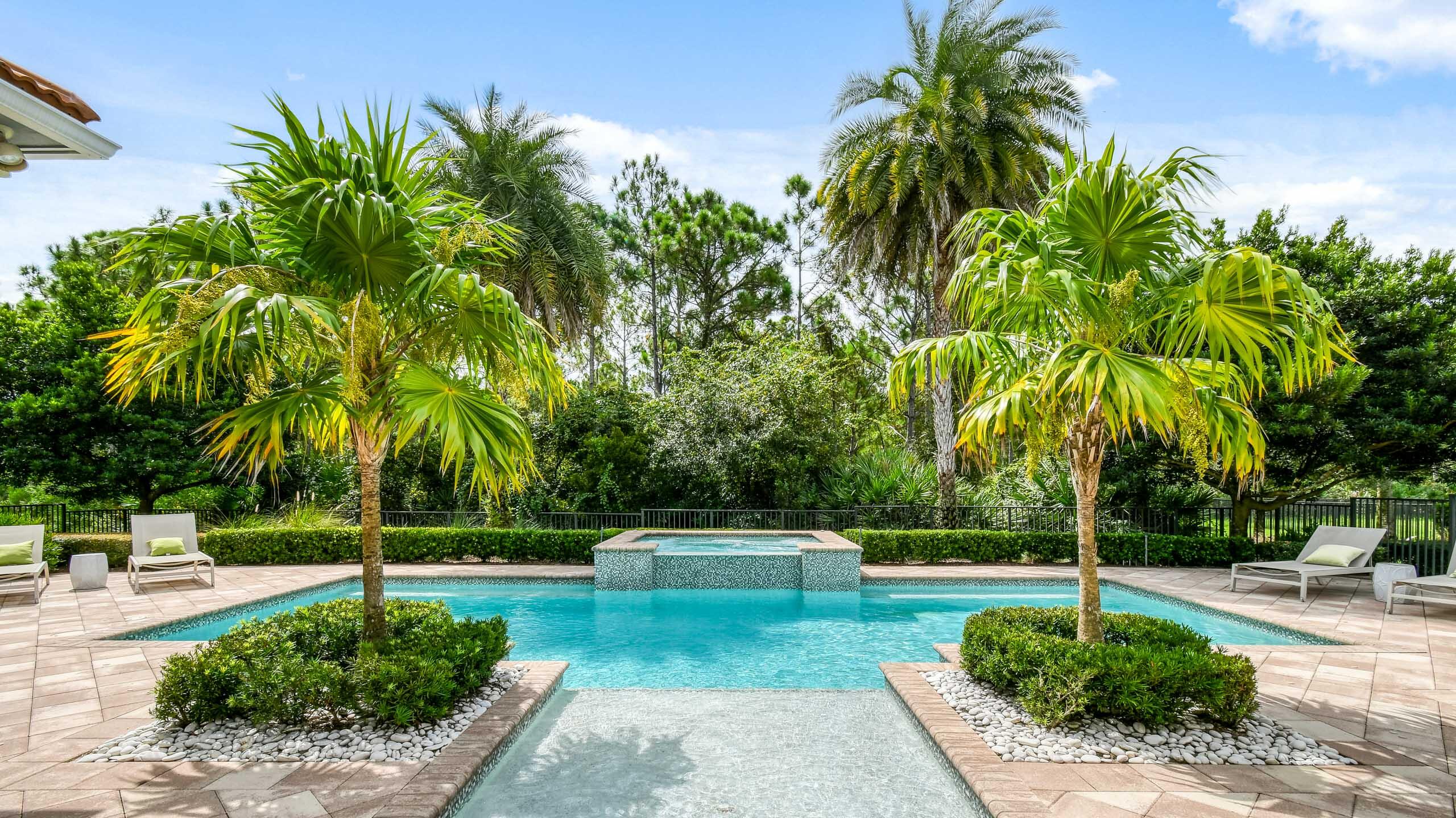Backyard pool with raised spa, shallow entry shelf, palm trees, and lounge chairs.