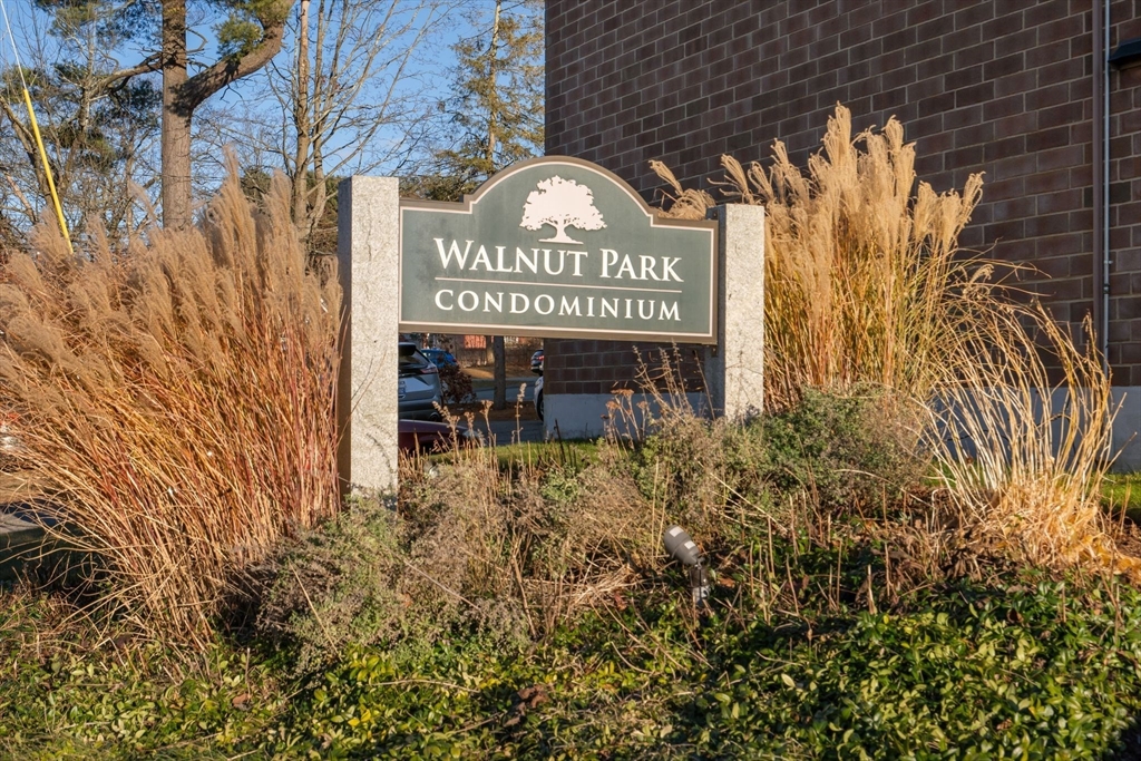 107 Walnut St # 1