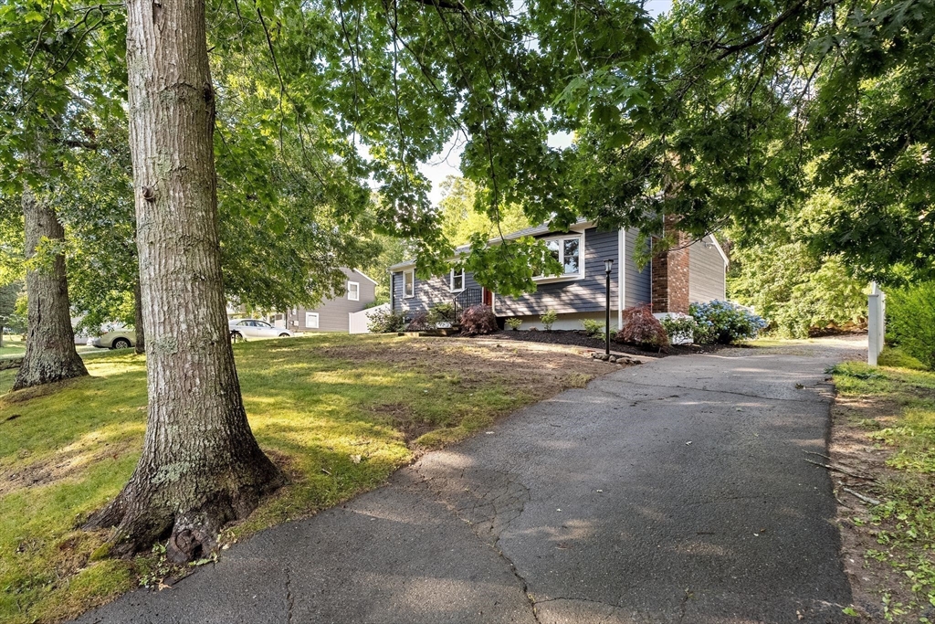 19 Arboretum Rd