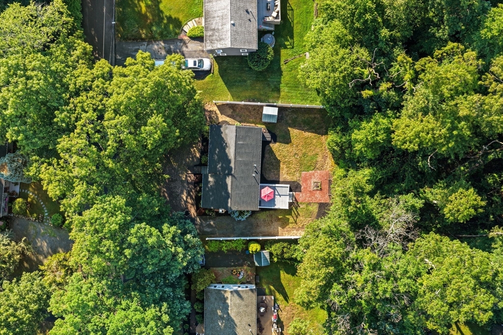 19 Arboretum Rd