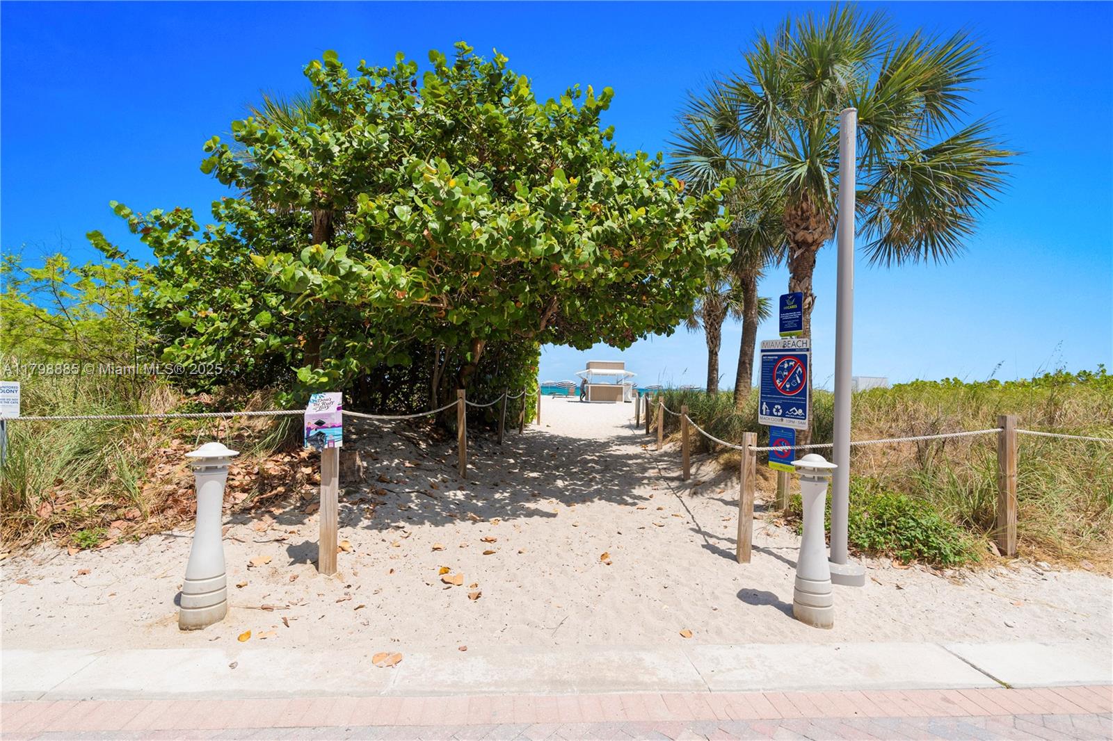 6039 Collins Ave # 521