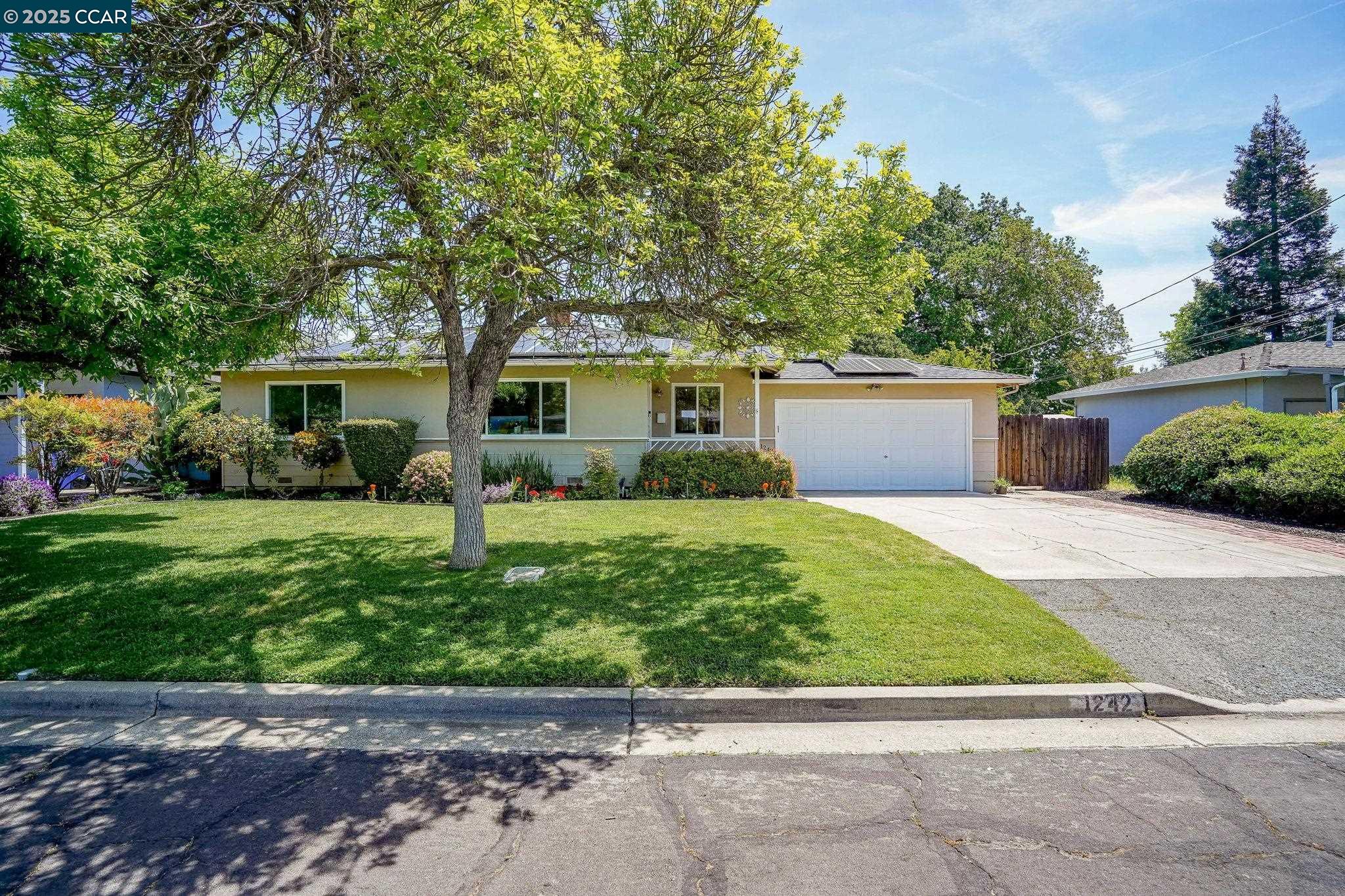 1242 Craig Dr