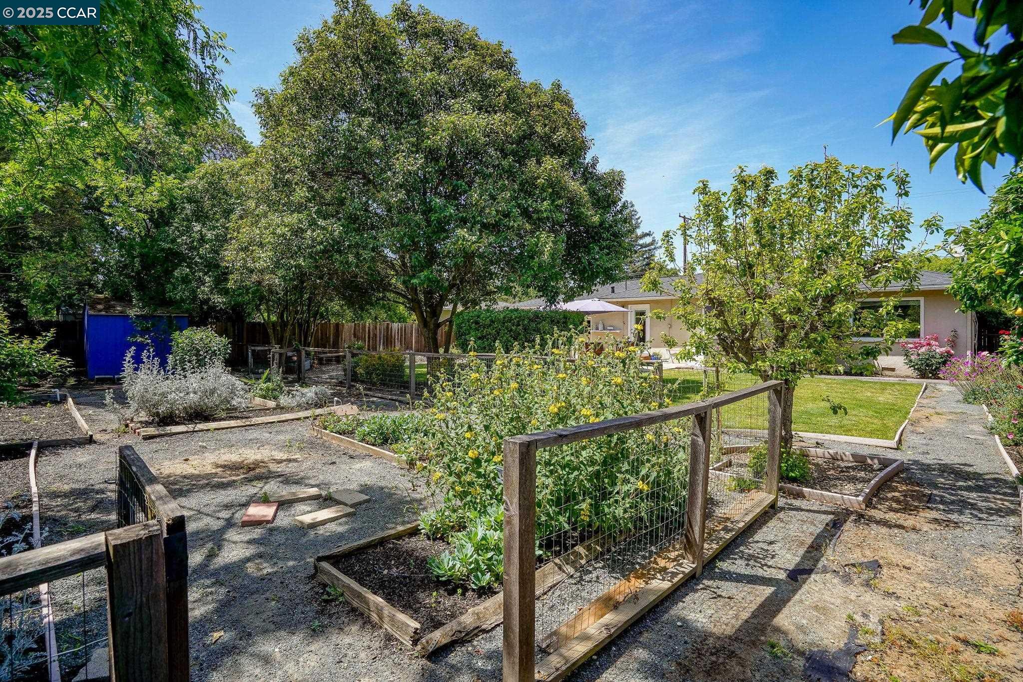 1242 Craig Dr