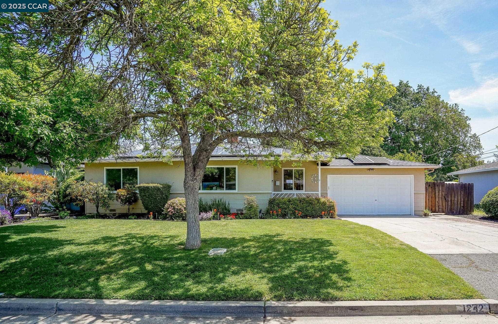 1242 Craig Dr