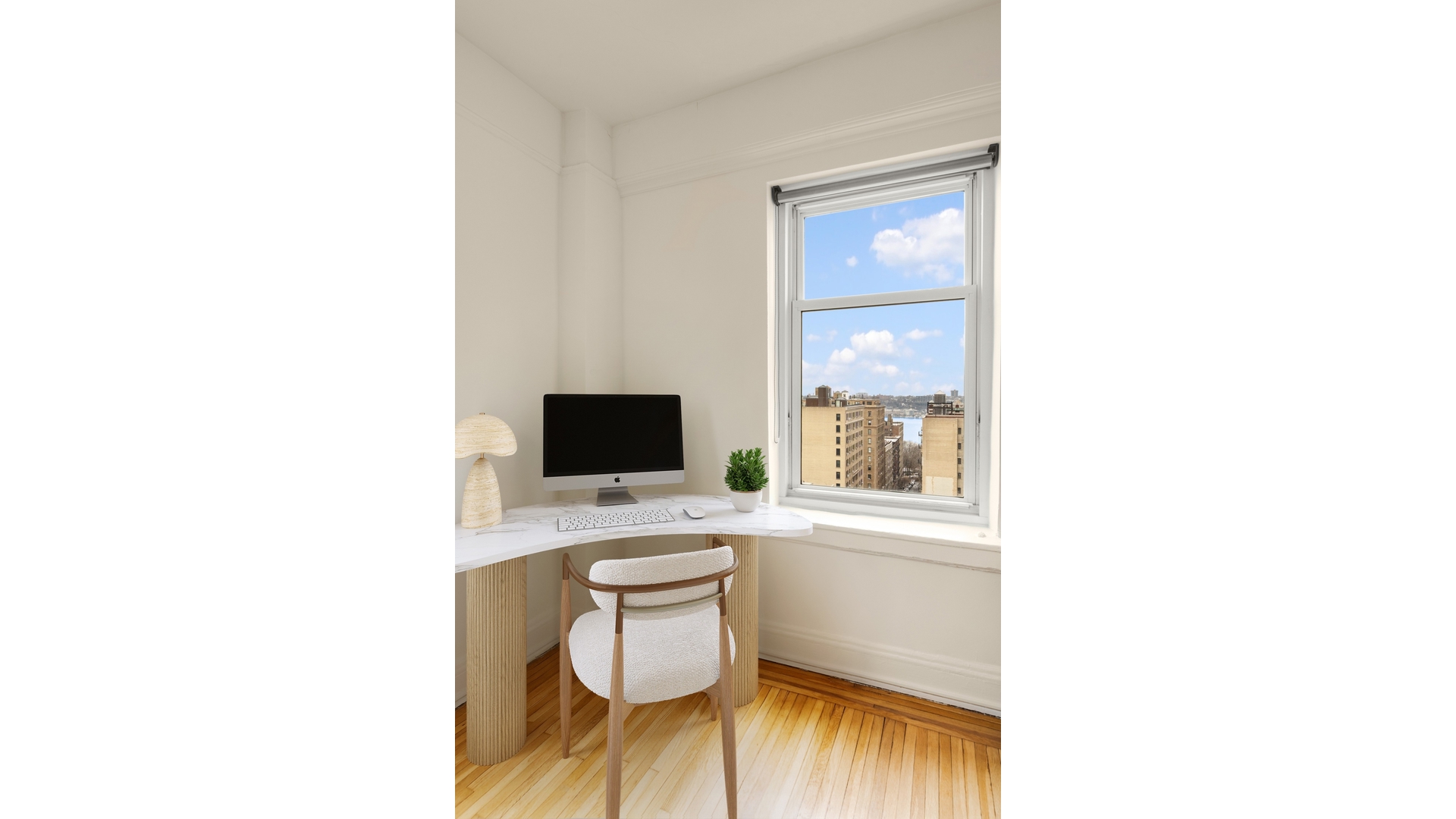 233 W 99TH Street 19C
