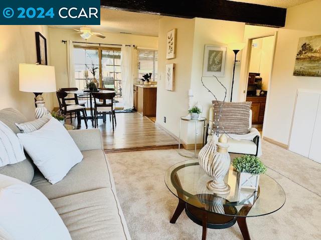 4004 Willow Pass Rd # C