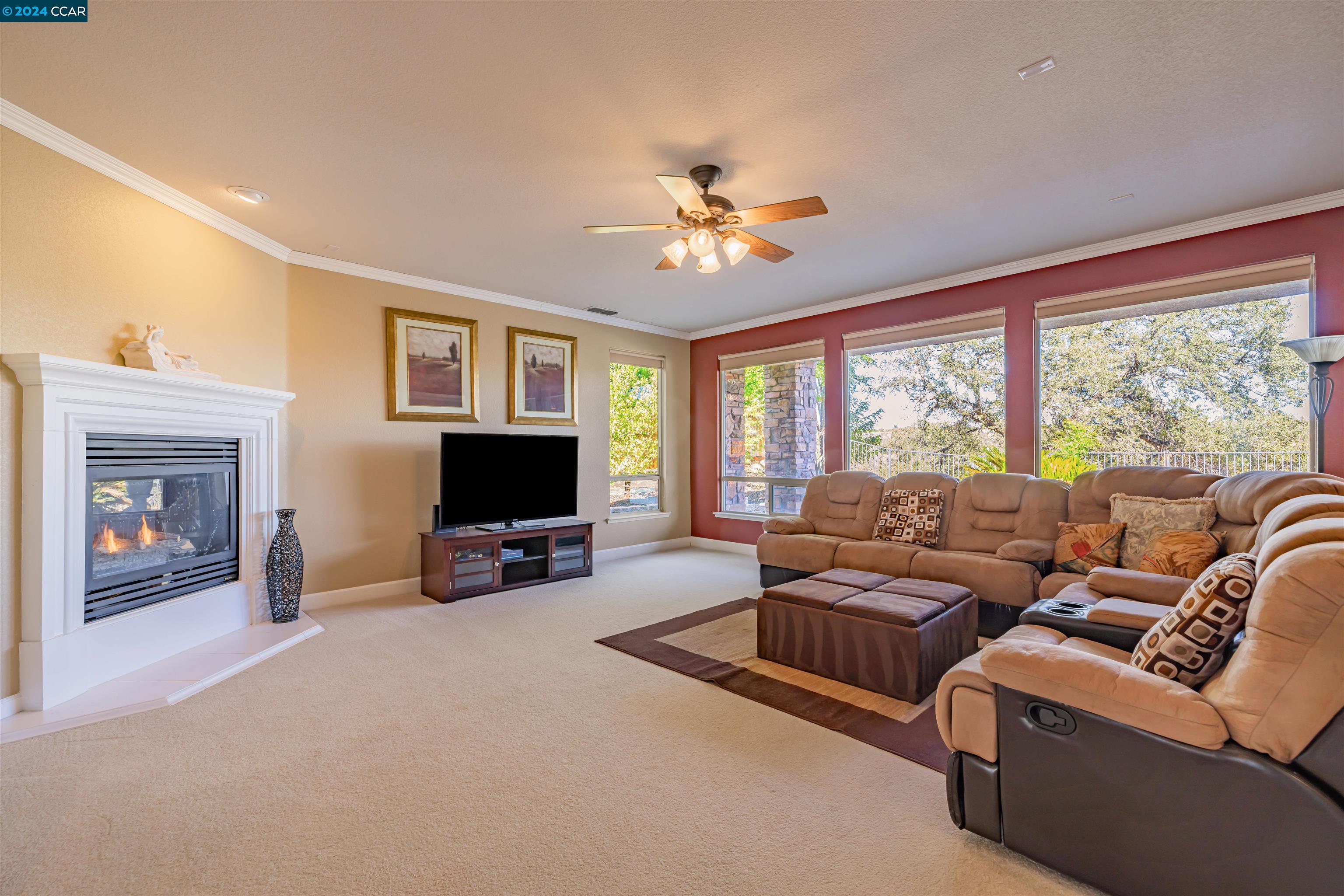 3741 BLACK OAK DR