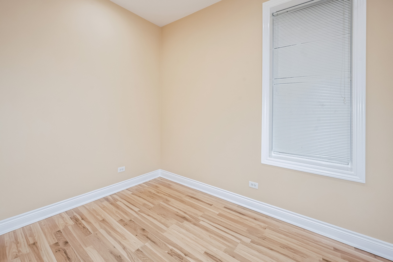 909 N Richmond Street Unit: 1