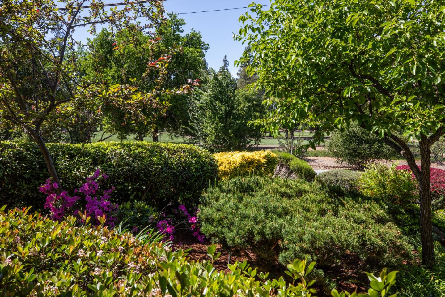 800 Loyola Drive