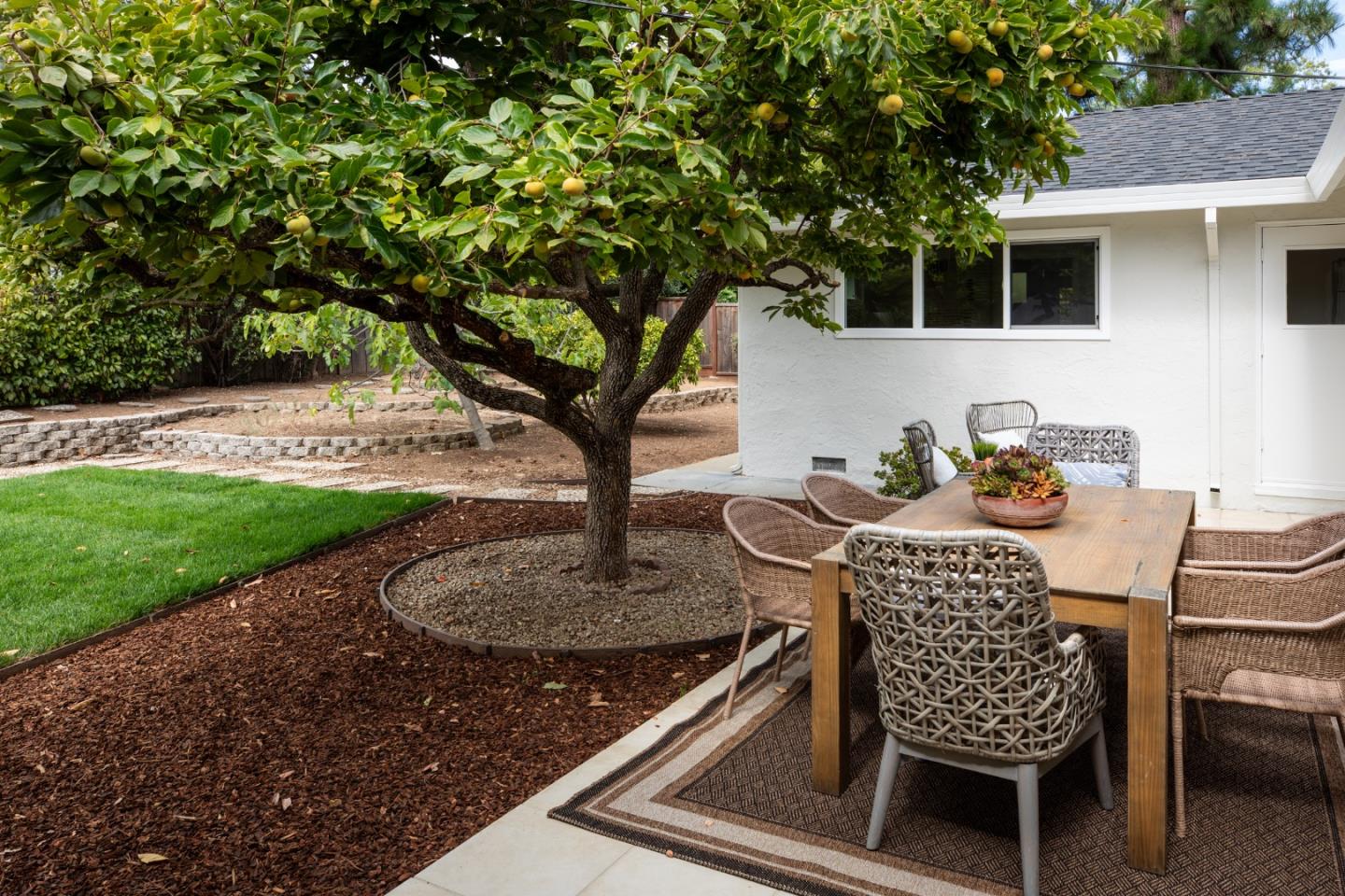 1964 Deodara DR