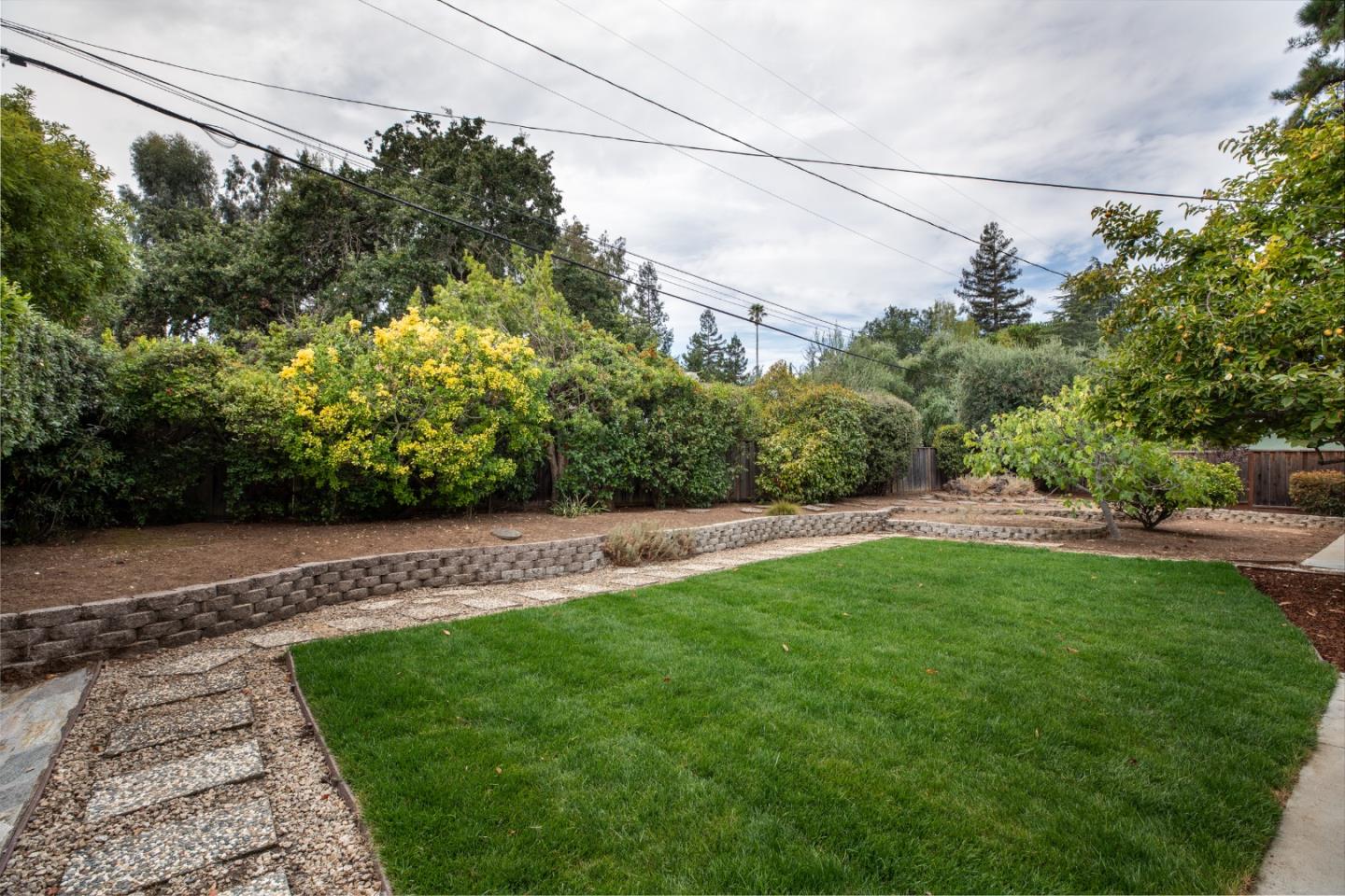 1964 Deodara DR