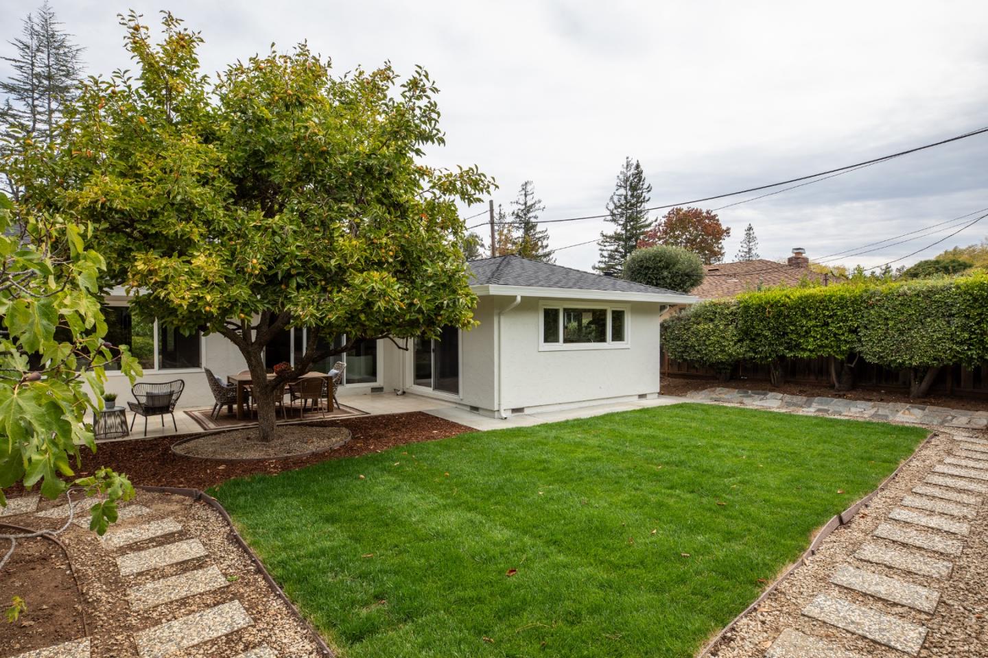 1964 Deodara DR