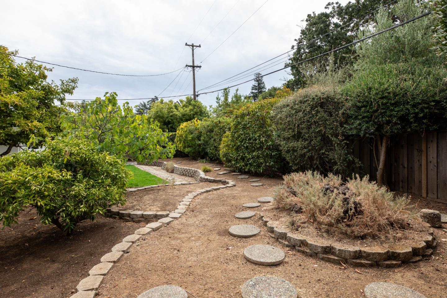 1964 Deodara DR