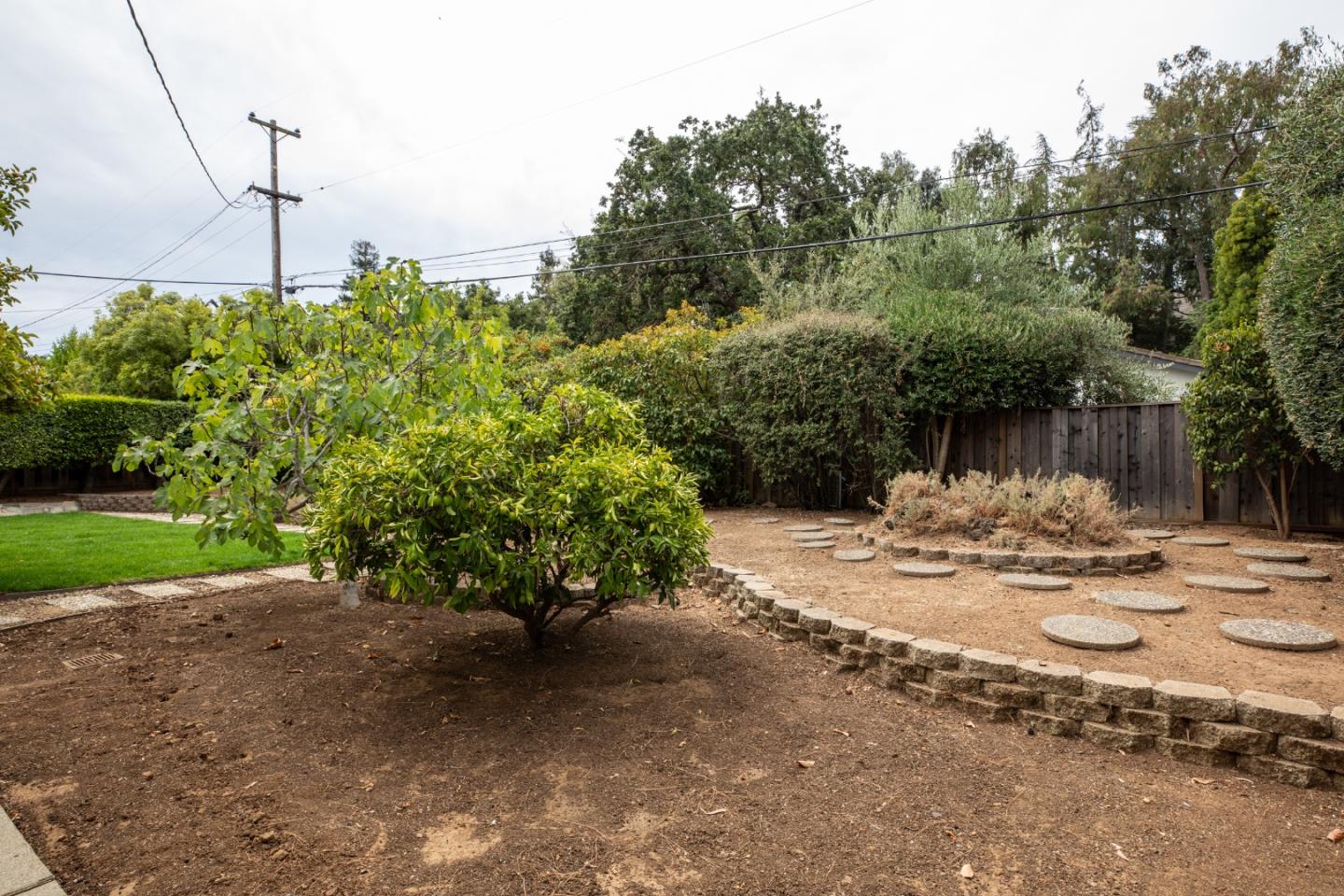 1964 Deodara DR