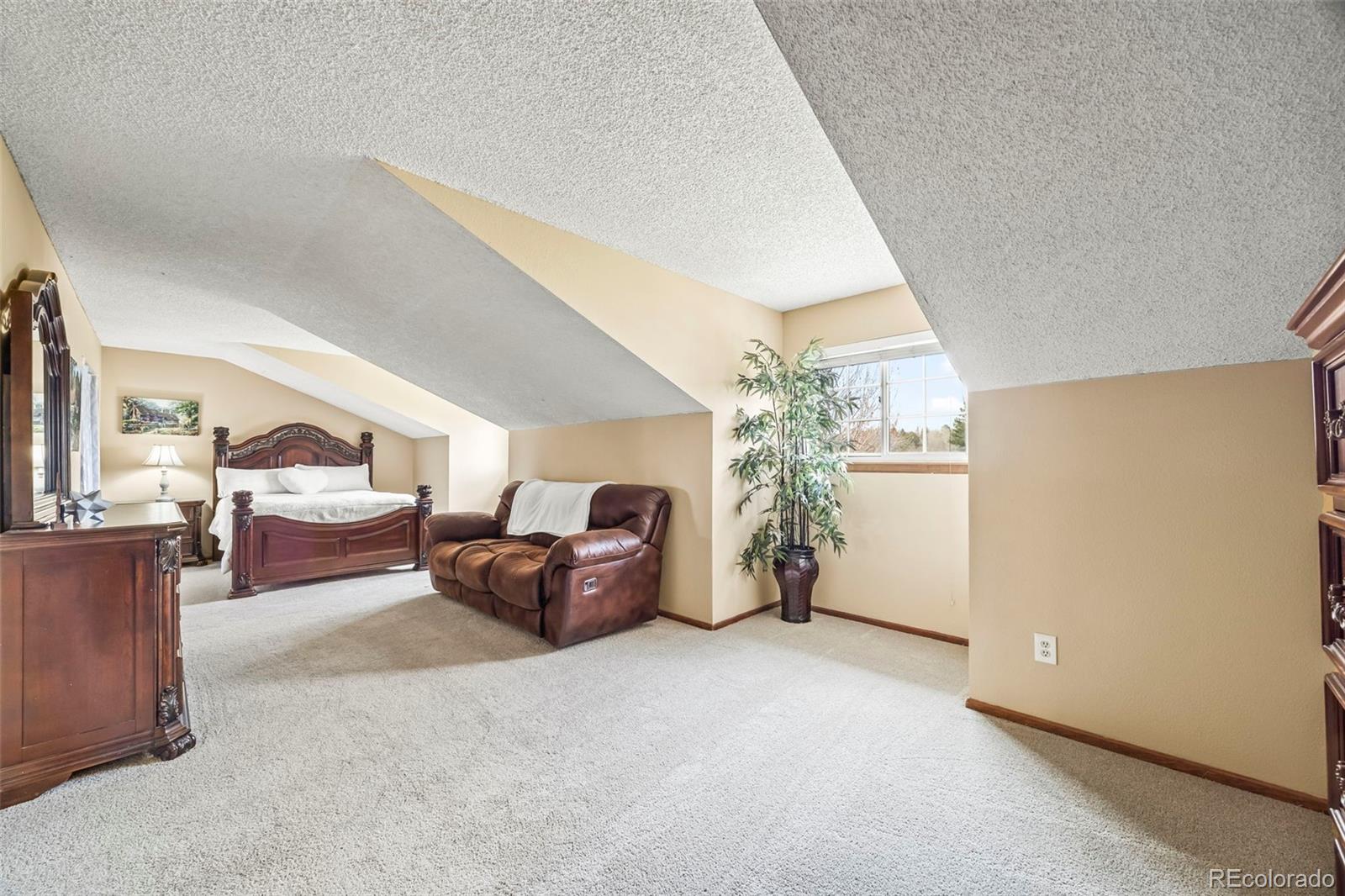 10433 Red Mountain W