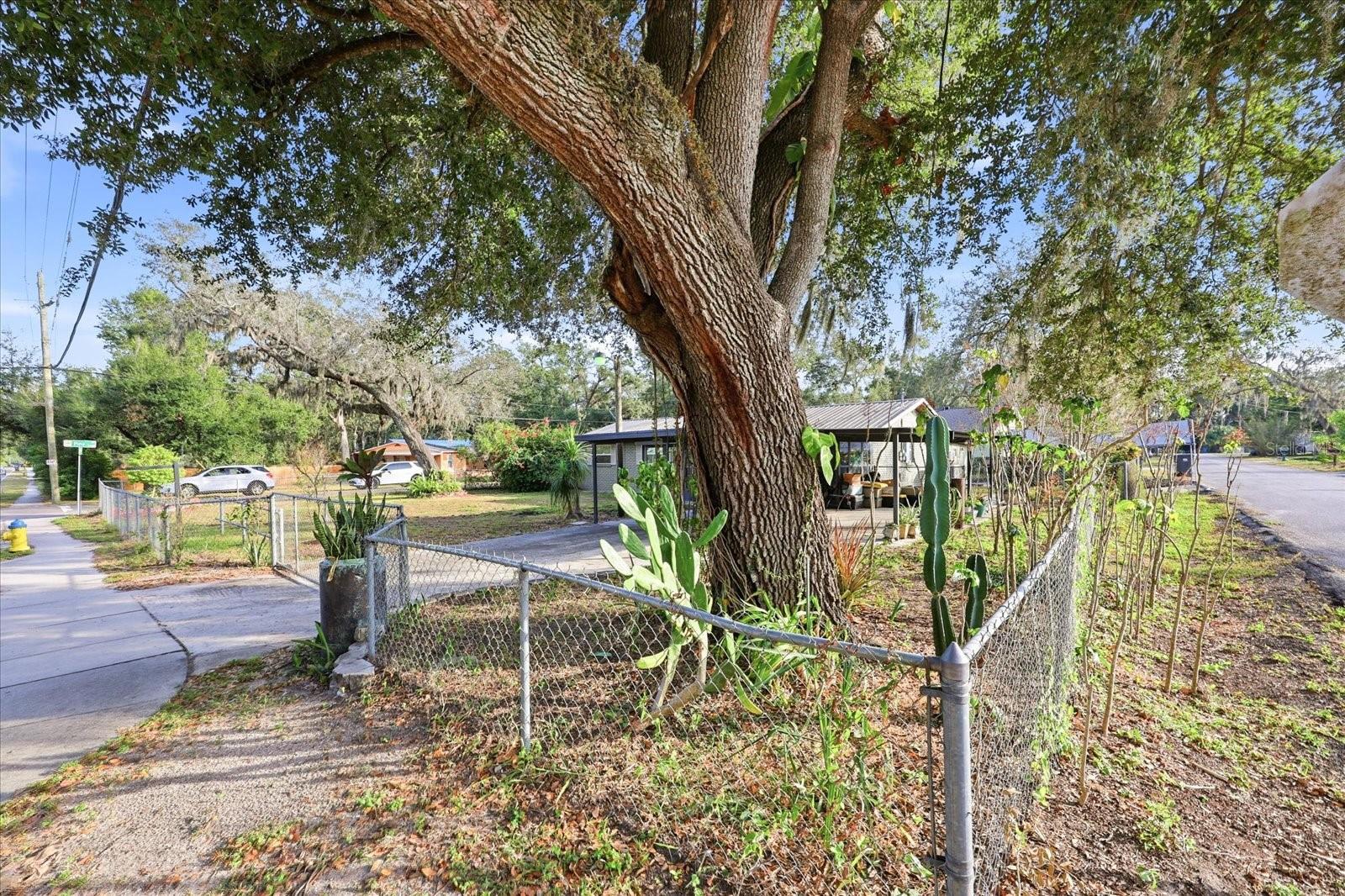 12031 E OLD HILLSBOROUGH AVE