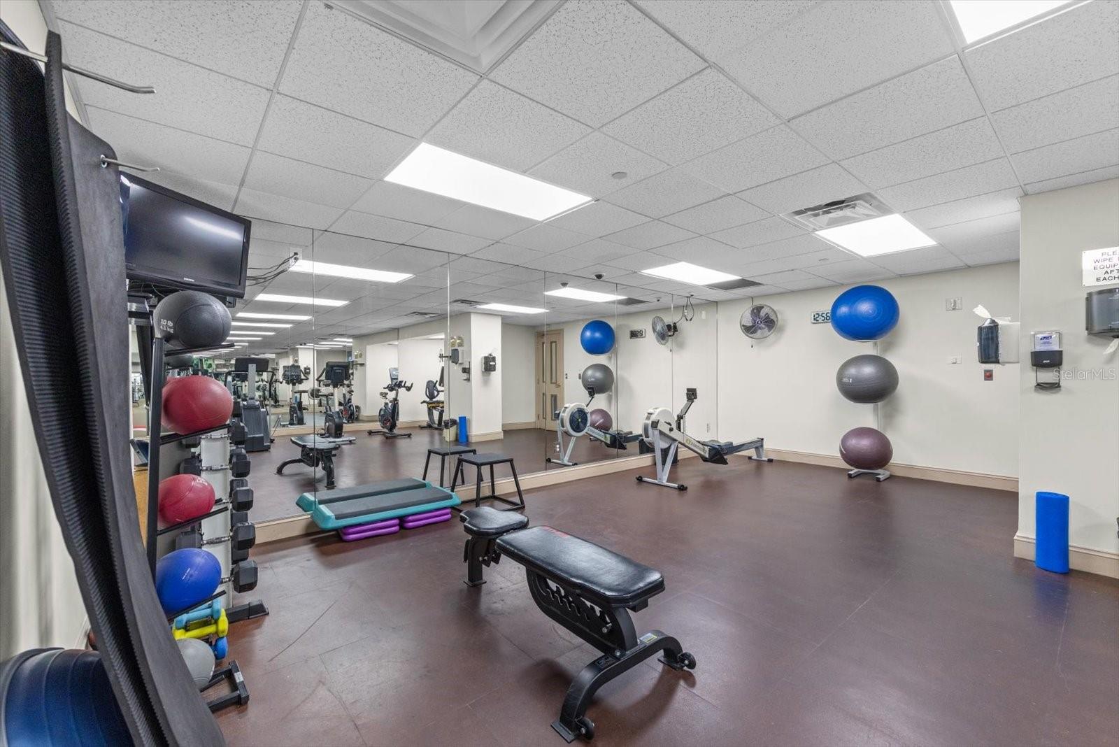 345 BAYSHORE BLVD #706