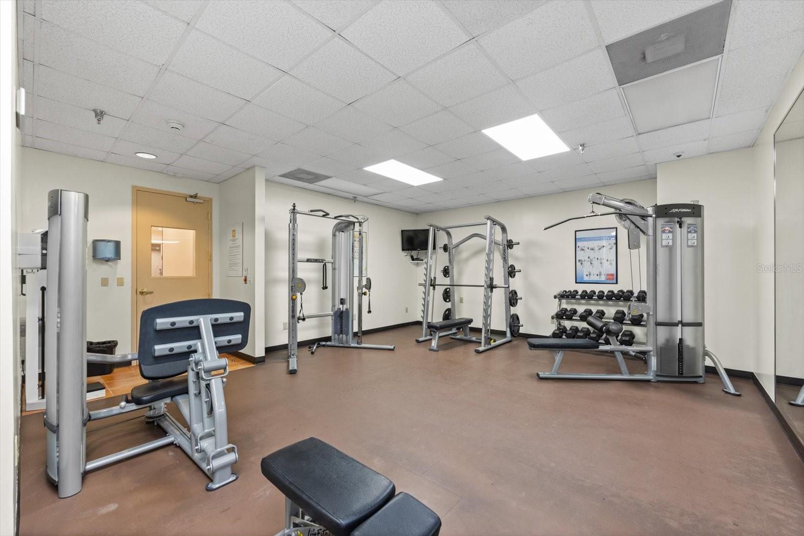 345 BAYSHORE BLVD #706