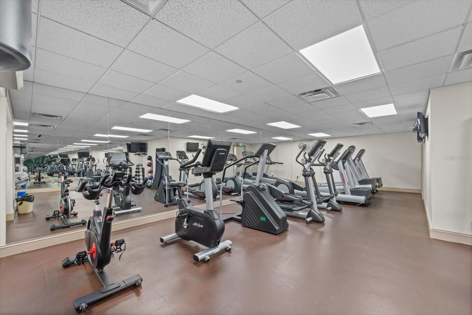 345 BAYSHORE BLVD #706