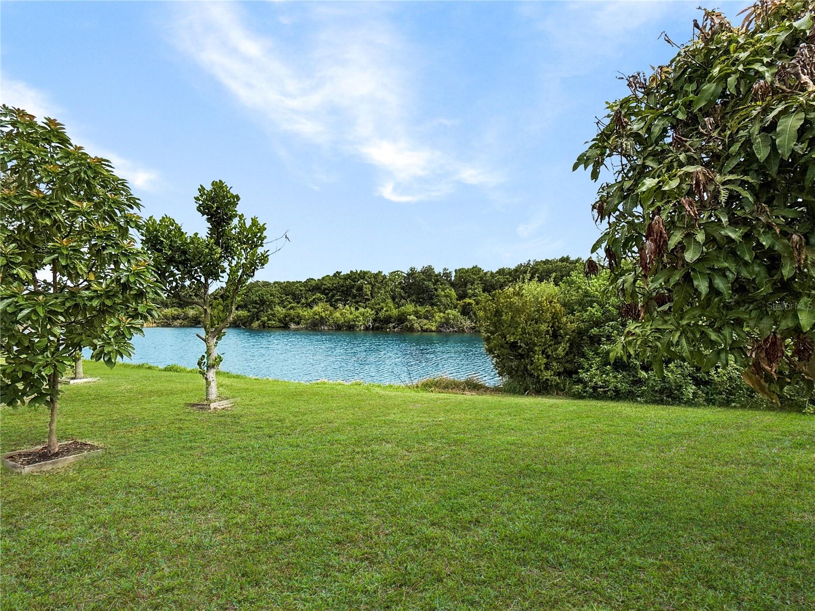 7115 FOREST MERE DR