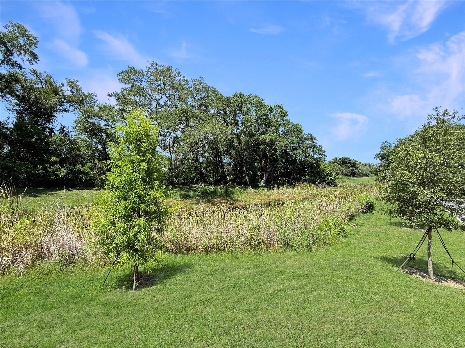 4345 CAMBIO GARDENS CT