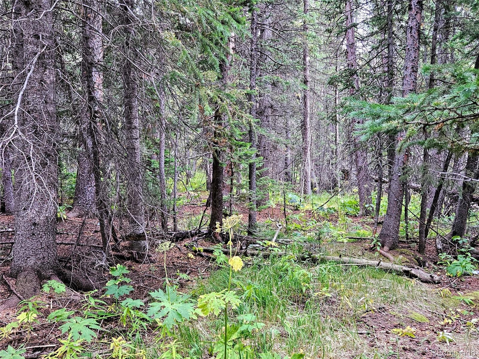 Lot 70 Pine Way