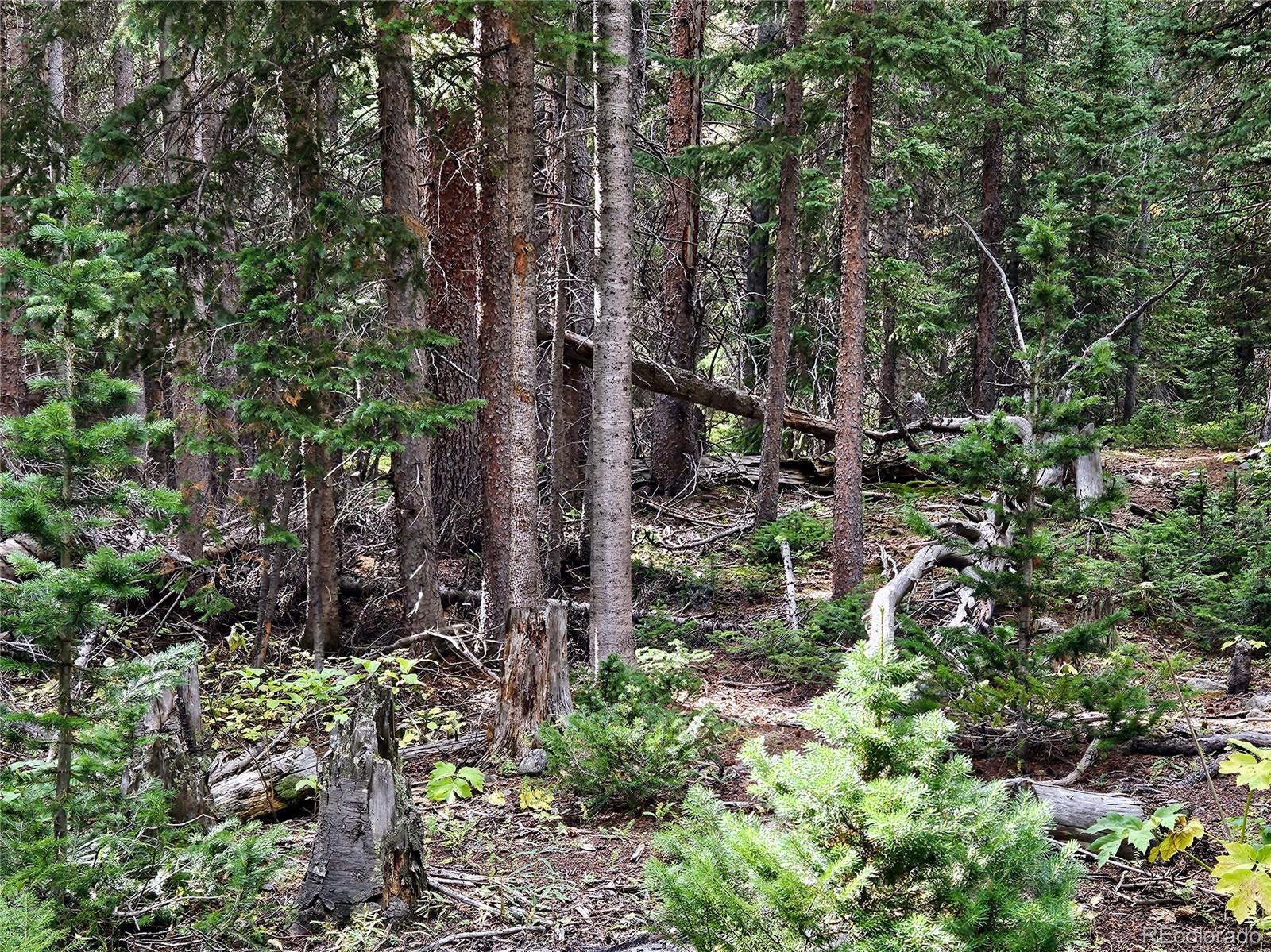 Lot 70 Pine Way