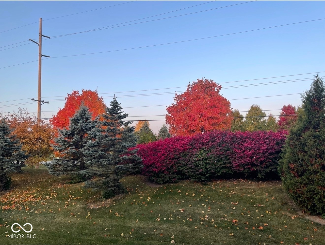 6532 Briarwood Place