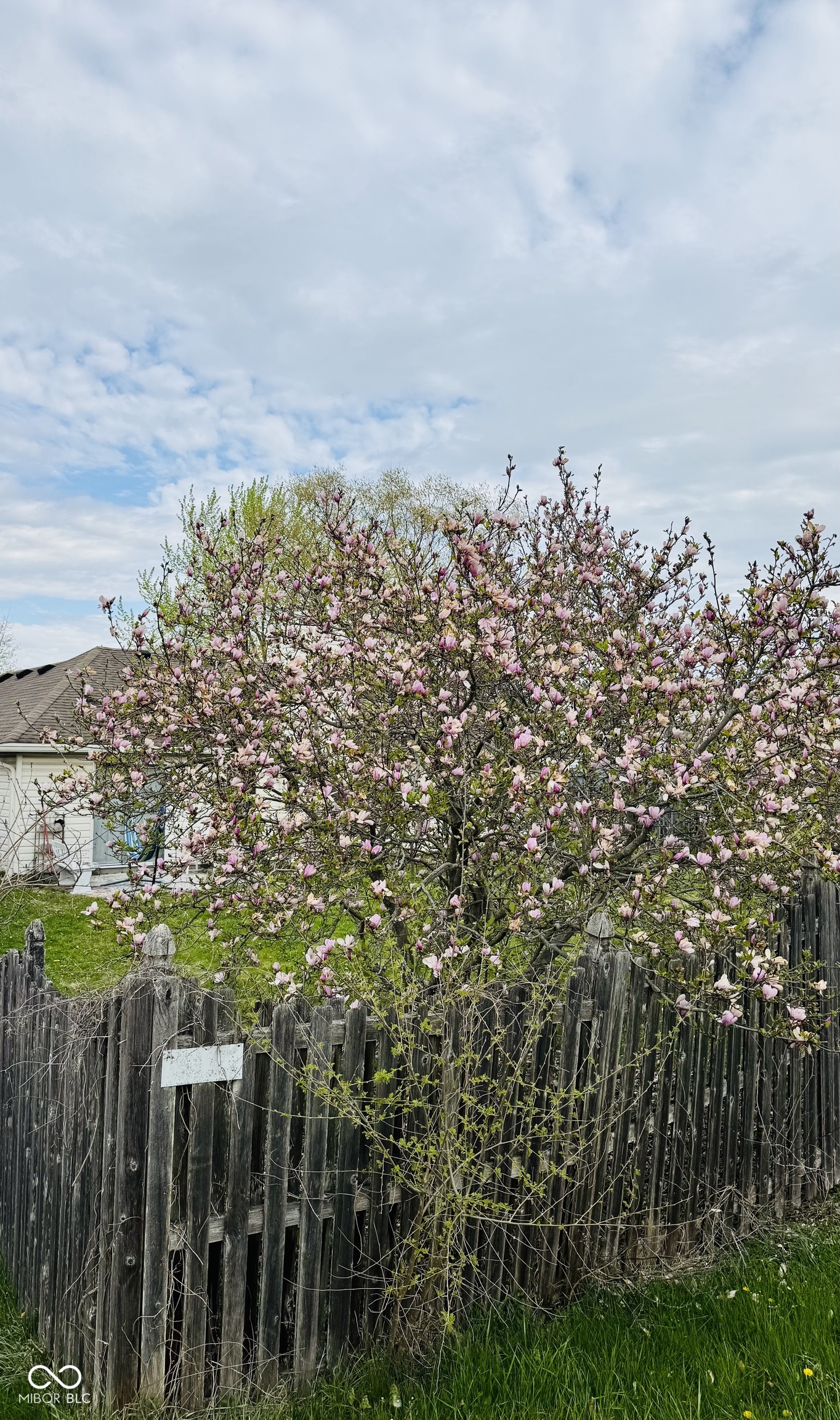 831 Queensgate Drive