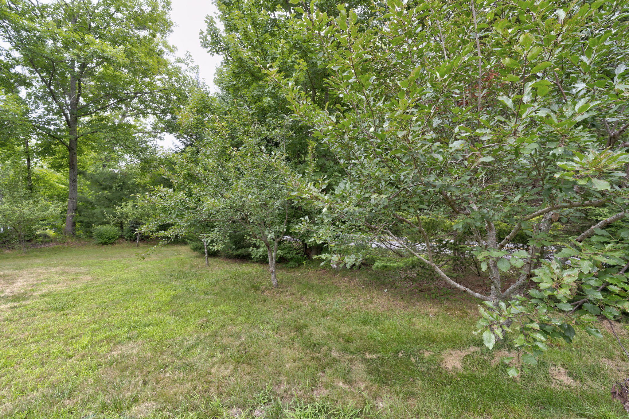 18 Bowie Hill Road