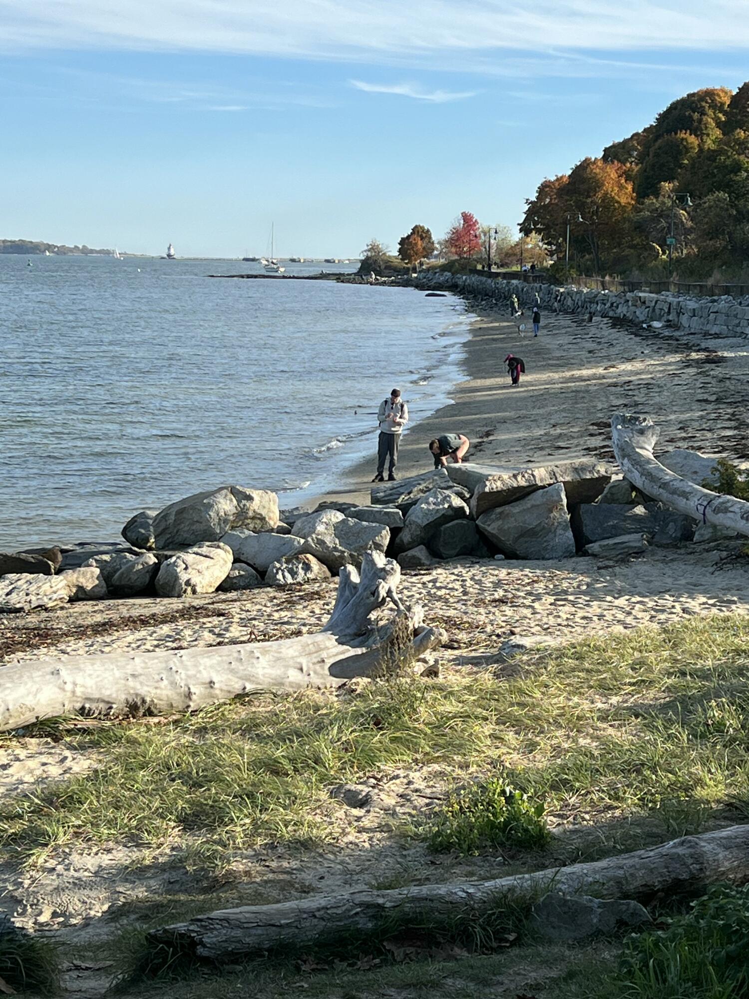 246 Eastern Promenade, 401