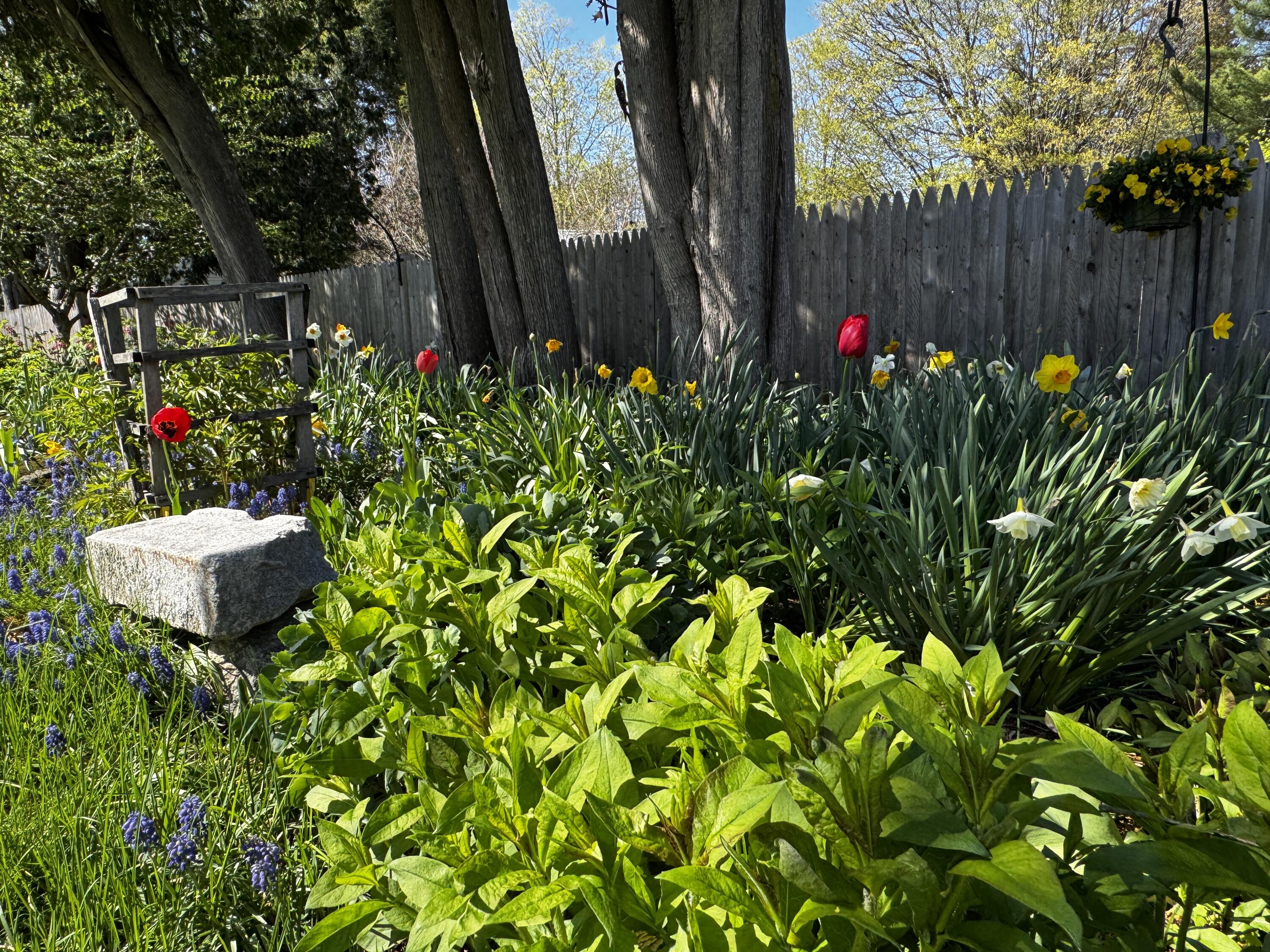 18 Rand Road
