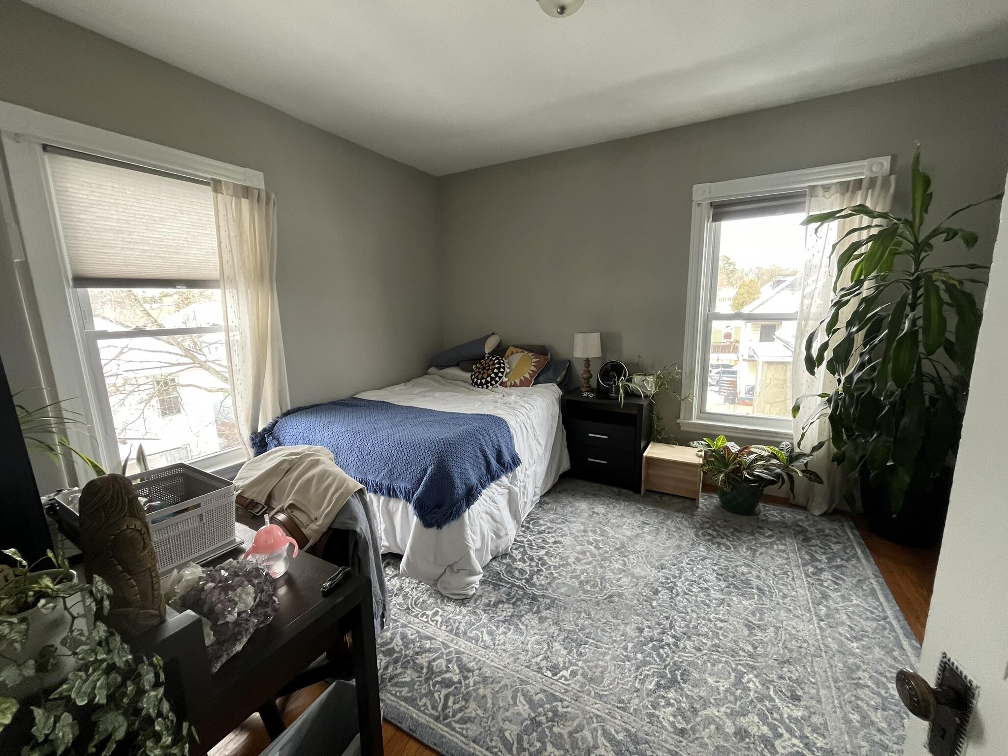 49 Montrose Avenue