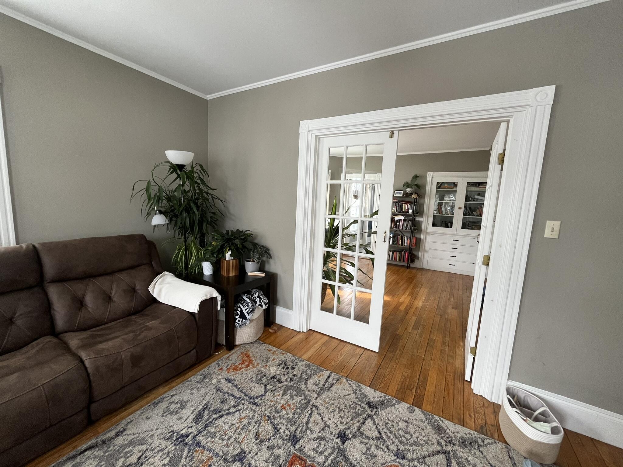 49 Montrose Avenue