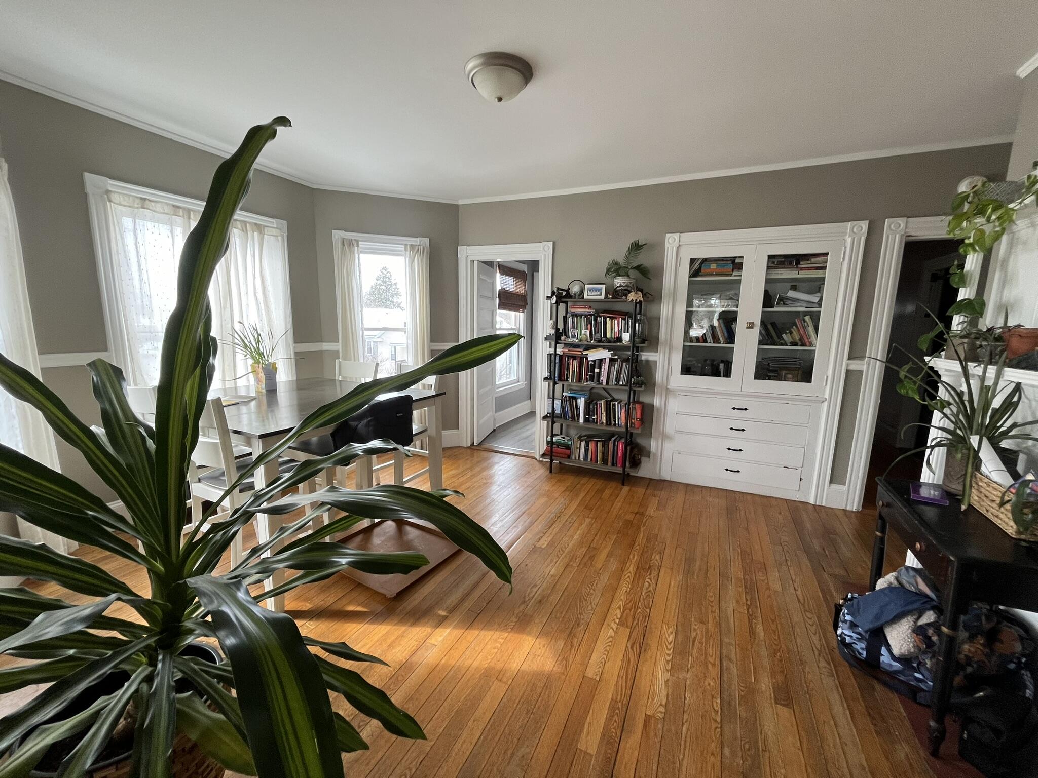 49 Montrose Avenue