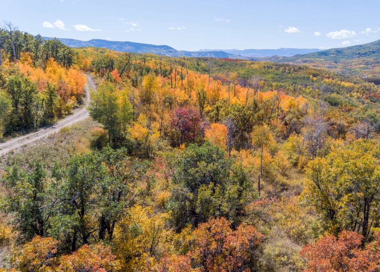 27185 Sundance TRAIL
