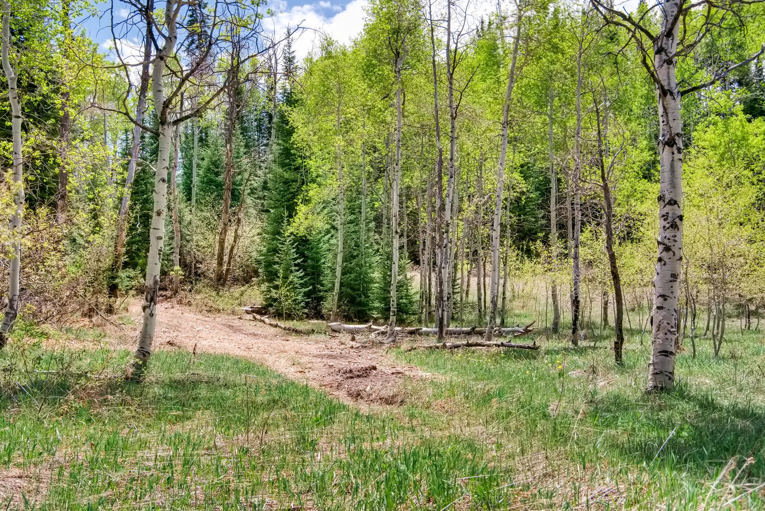 27925 Echo Valley LANE