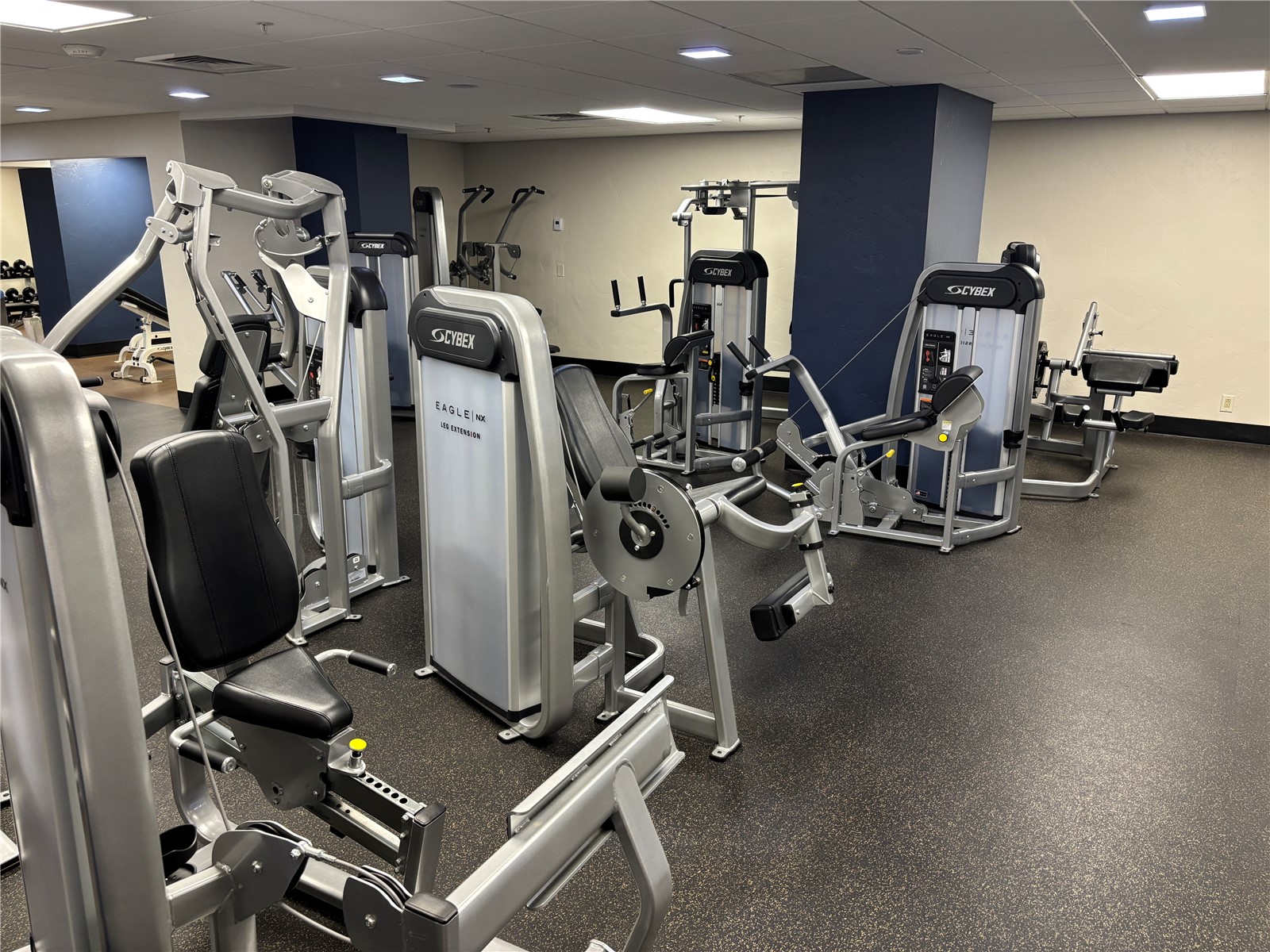 2300 Mt Werner CIRCLE 558