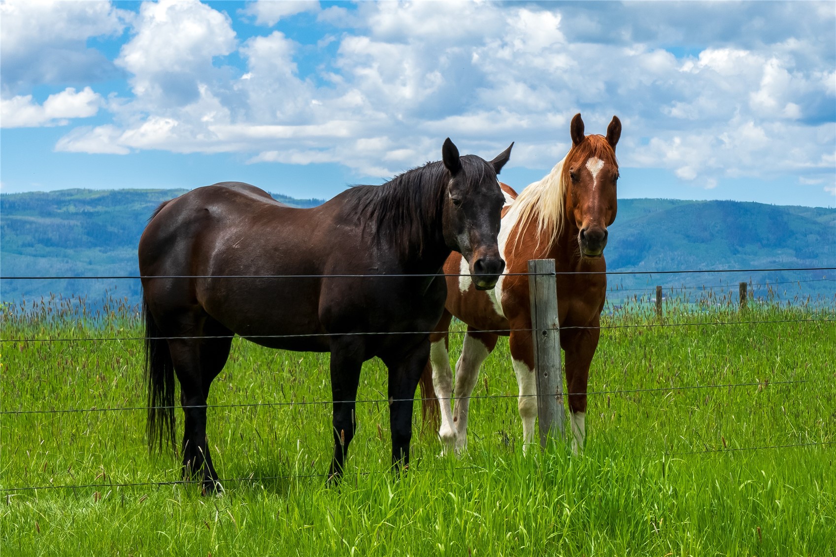 33690 E Us Highway 40