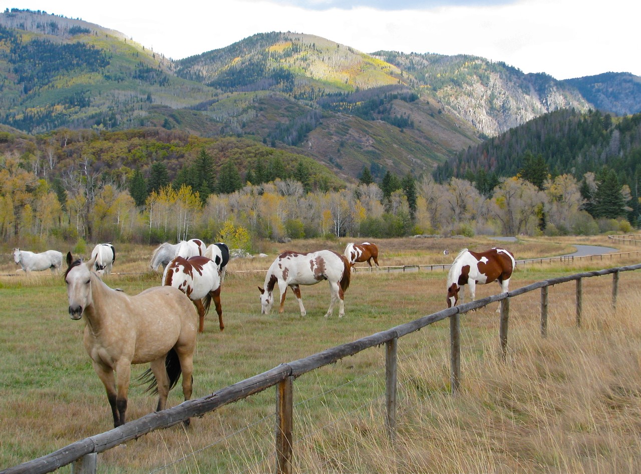 33690 E Us Highway 40