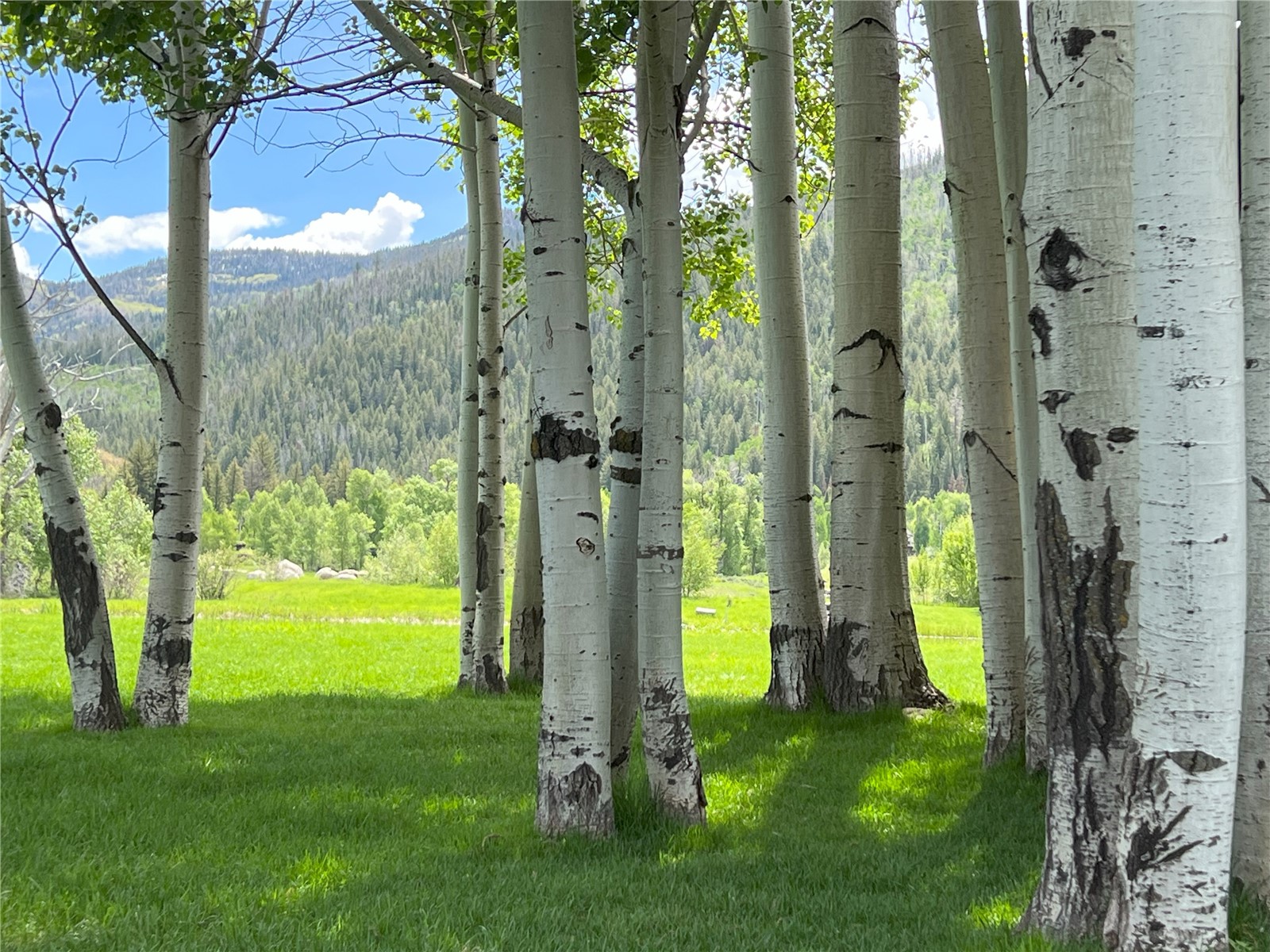 33690 E Us Highway 40