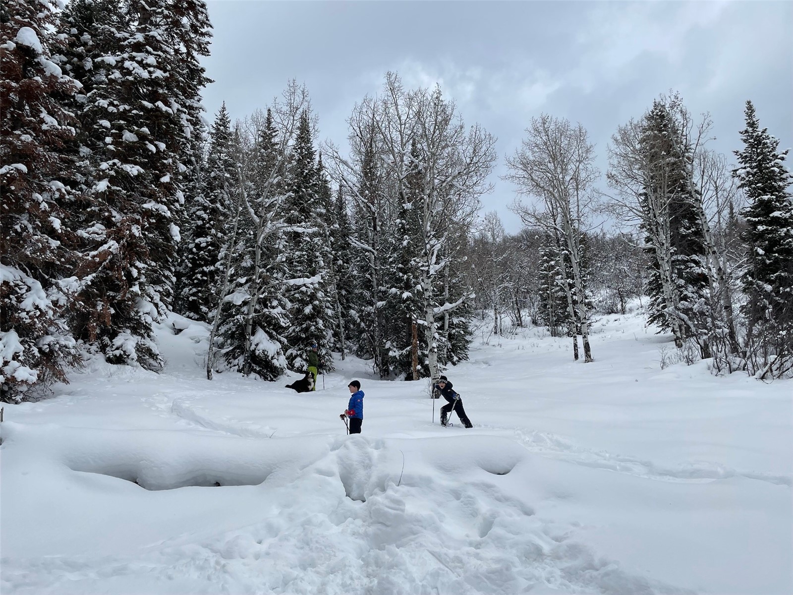 31655 Sugar Ridge ROAD