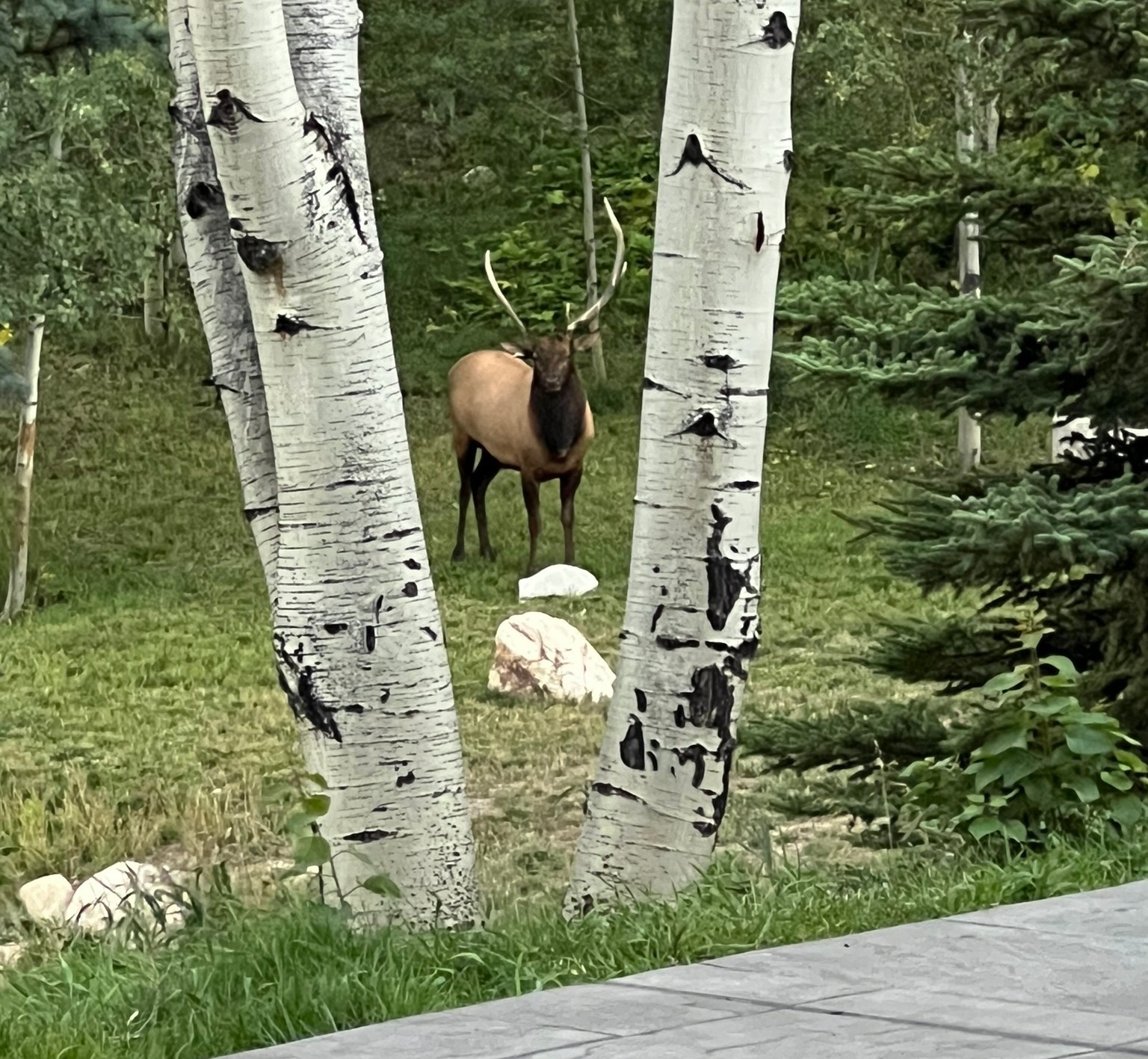 31655 Sugar Ridge ROAD