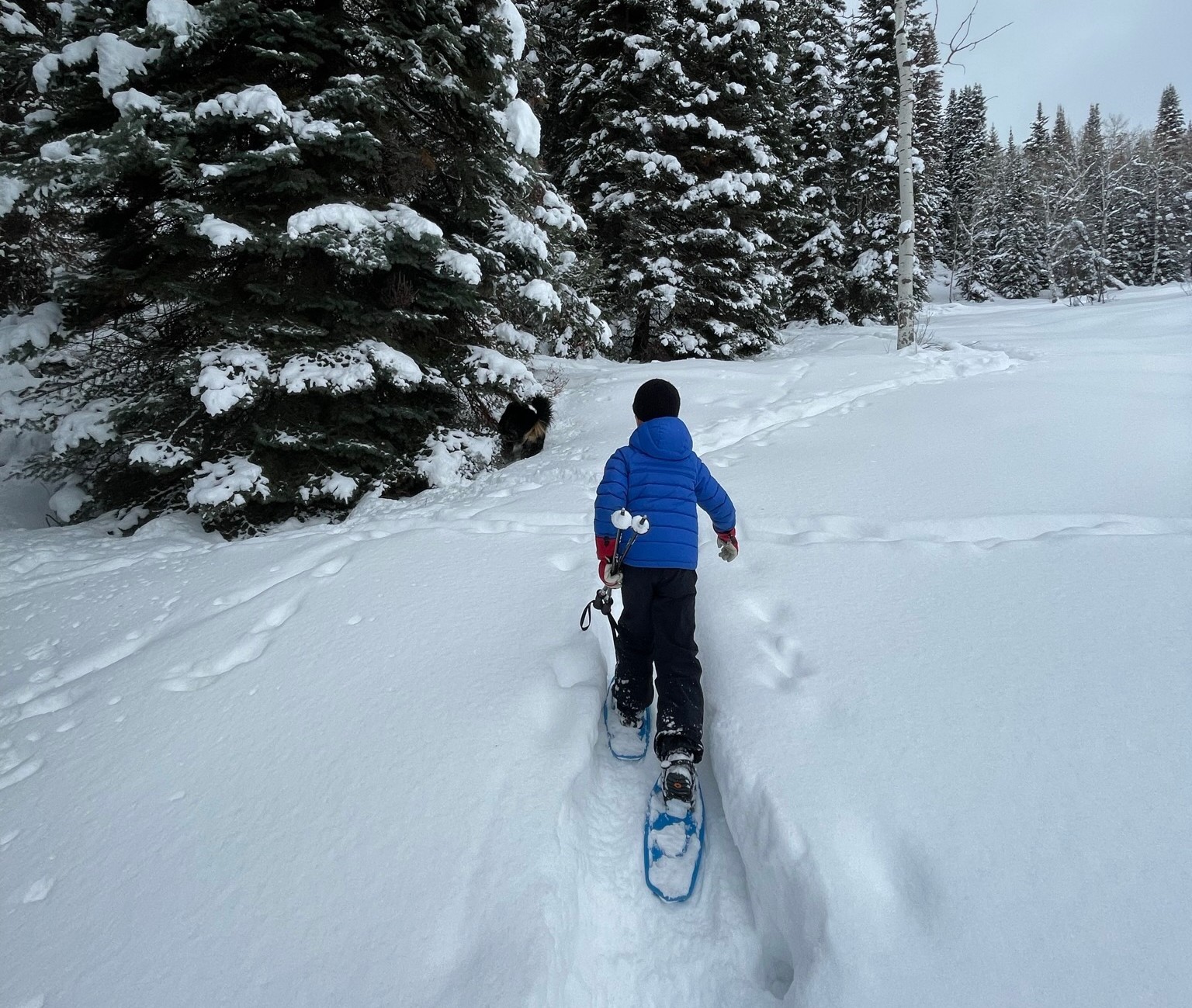 31655 Sugar Ridge ROAD