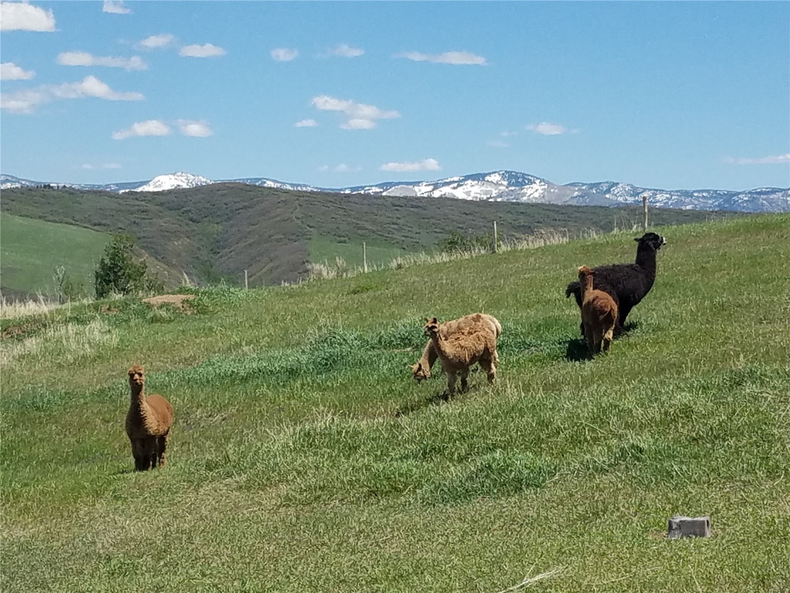 37450 Saddle Mountain DRIVE